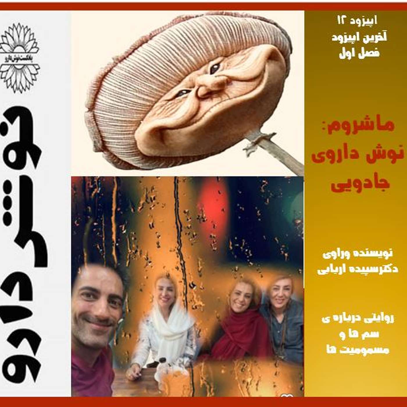 ماشروم :نوش داروی جادویی episode artwork