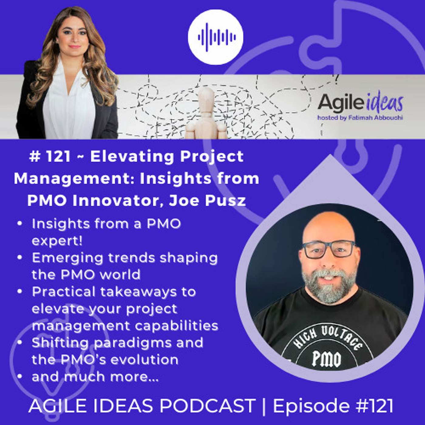 Agile Ideas