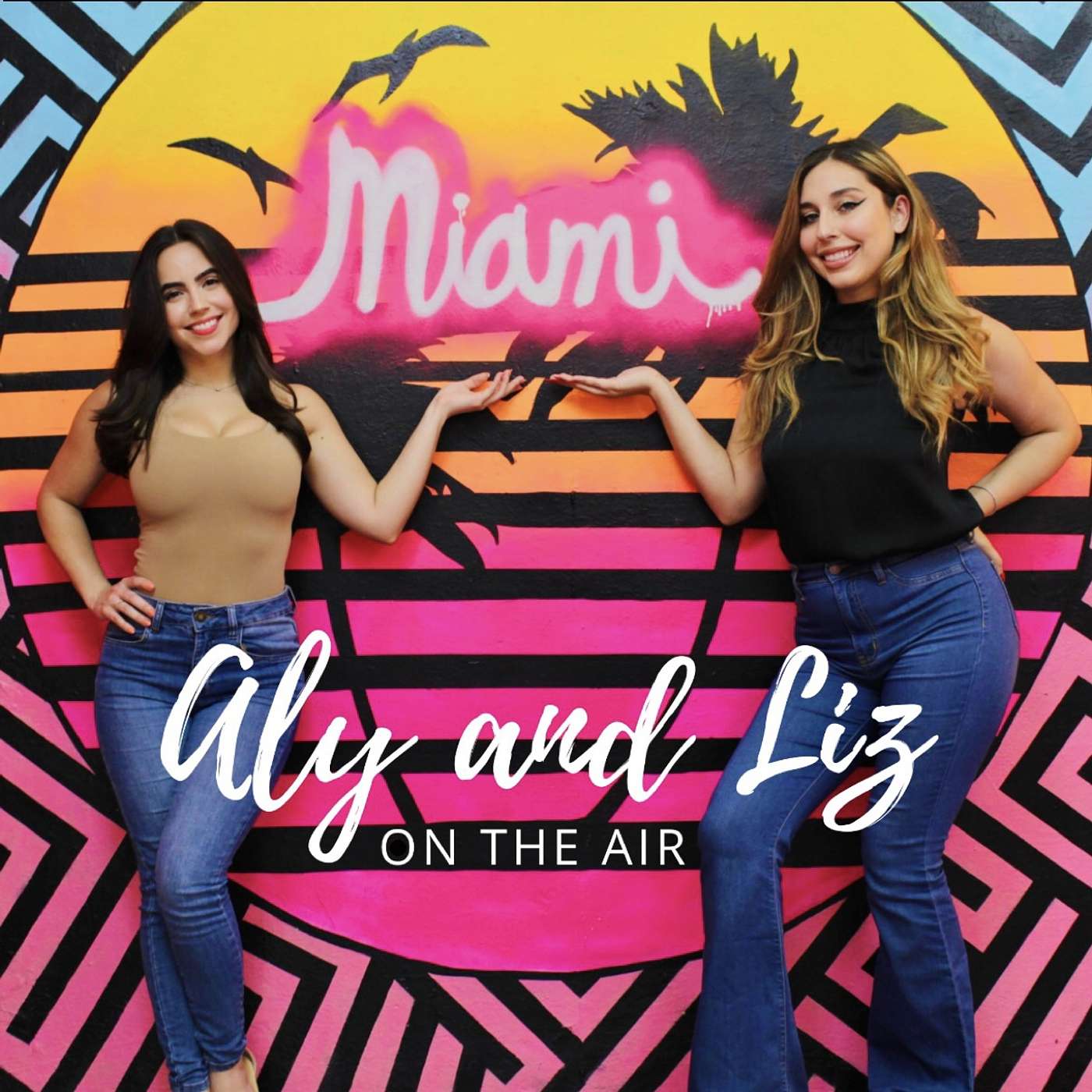 Aly and Liz On The Air Podcast podcast artwork