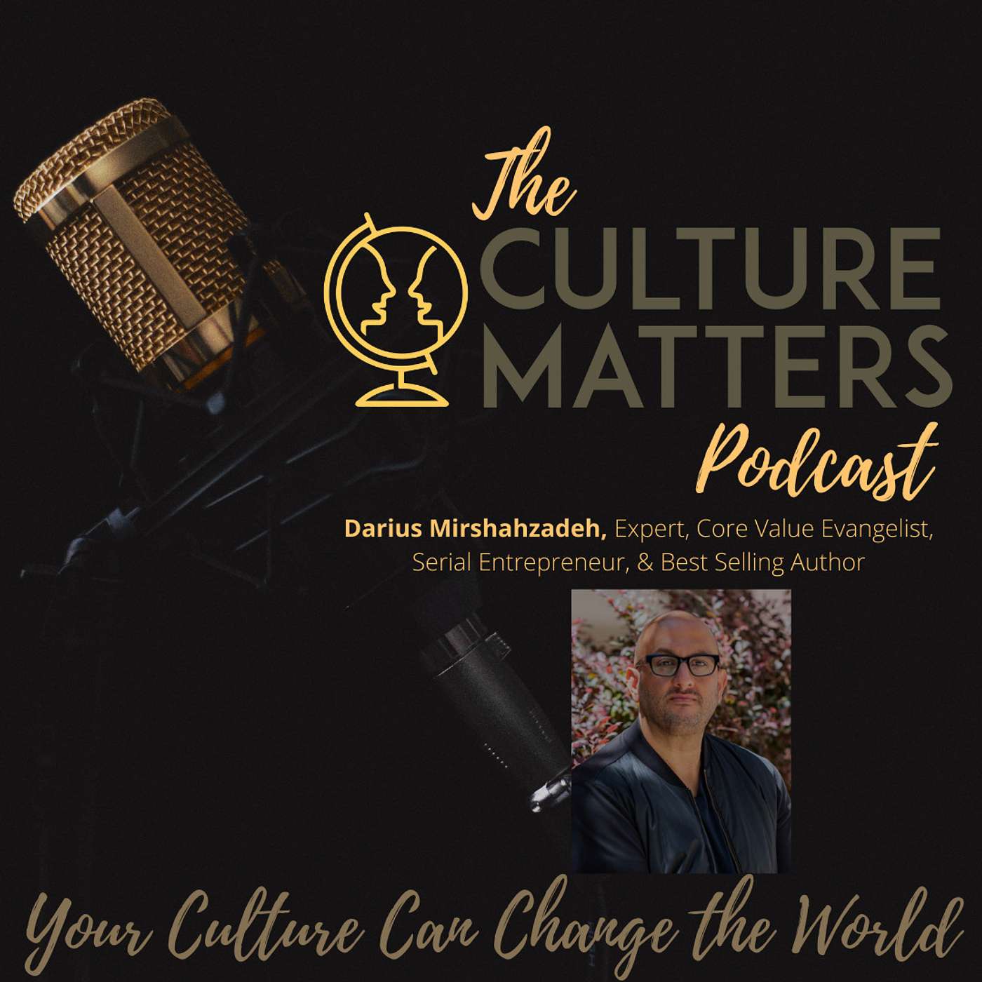 Season 9, Episode 103: Guest: Darius Mirshahzadeh: What Do You Stand For?