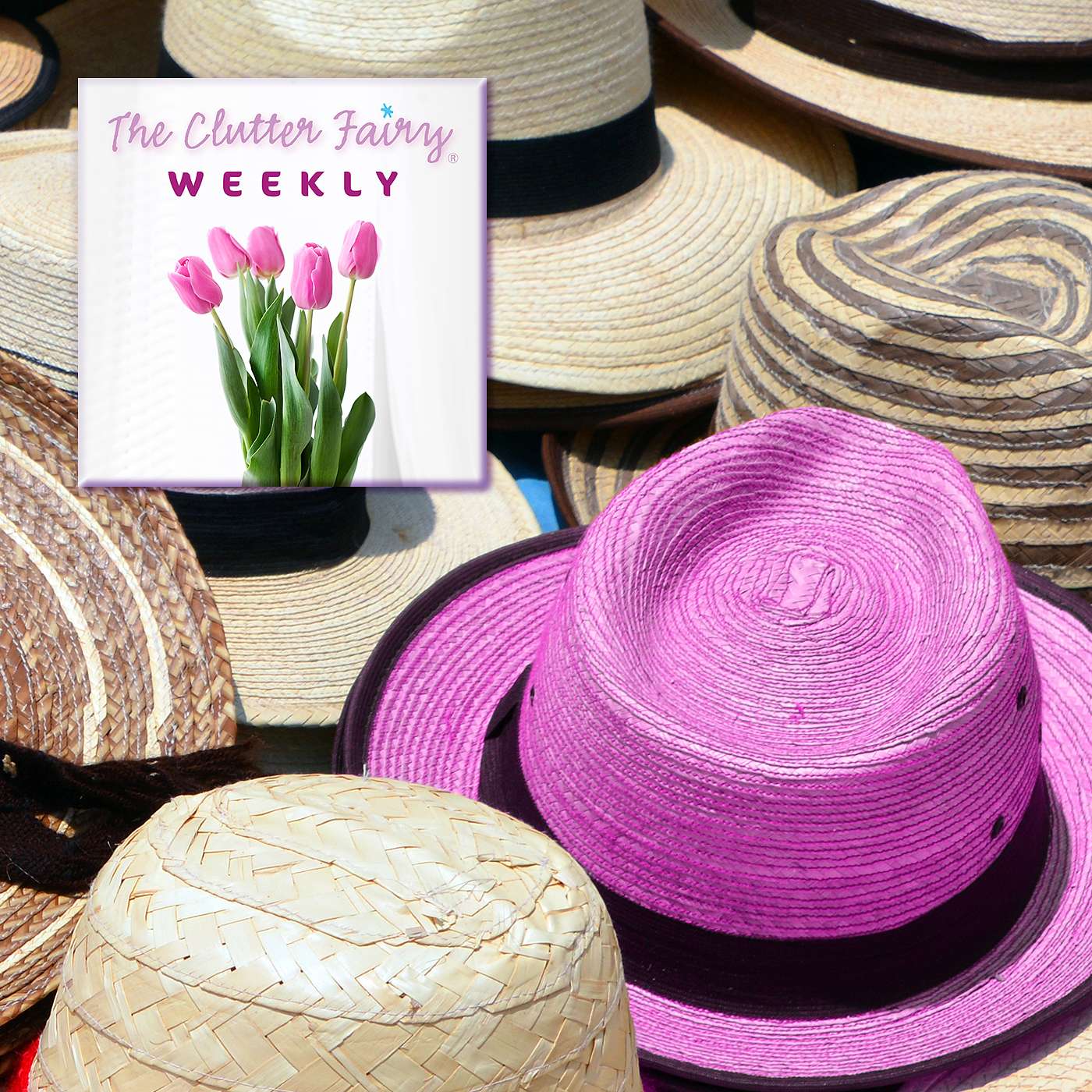 Declutter Room-by-Room: Guest Rooms and Other Multi-function Spaces - The Clutter Fairy Weekly #304 episode artwork
