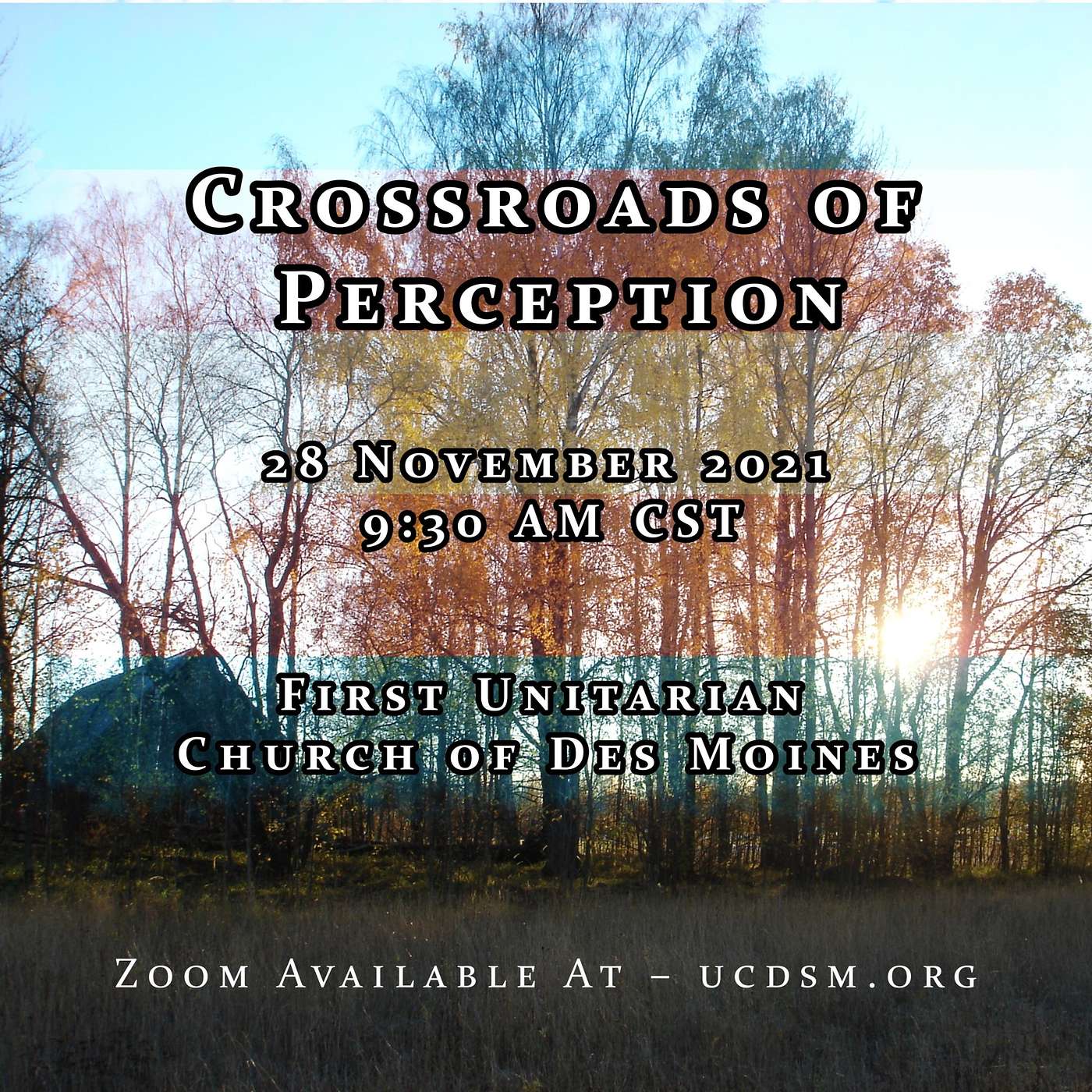 Crossroads of Perception with Ysandril Morrigan and members of the UCDSM Transgender Action Group episode artwork
