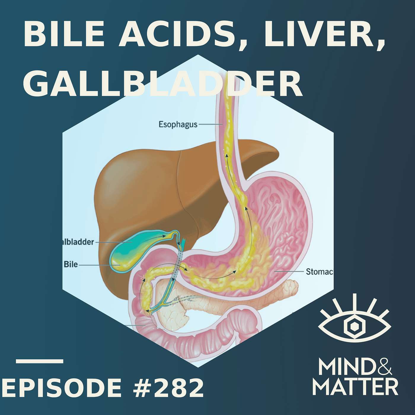 Bile Acids in Health & Metabolic Disease | Ep. 282 Bile Acids in Health & Metabolic Disease | Ep. 282