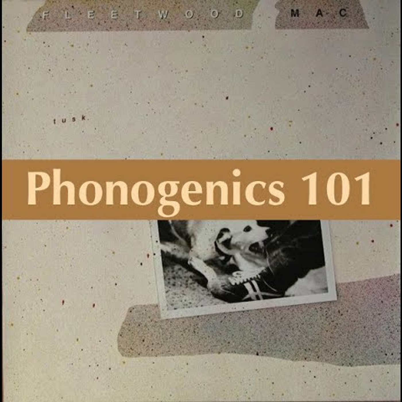 Phonogenics 101: Discussing Albums Track By Track