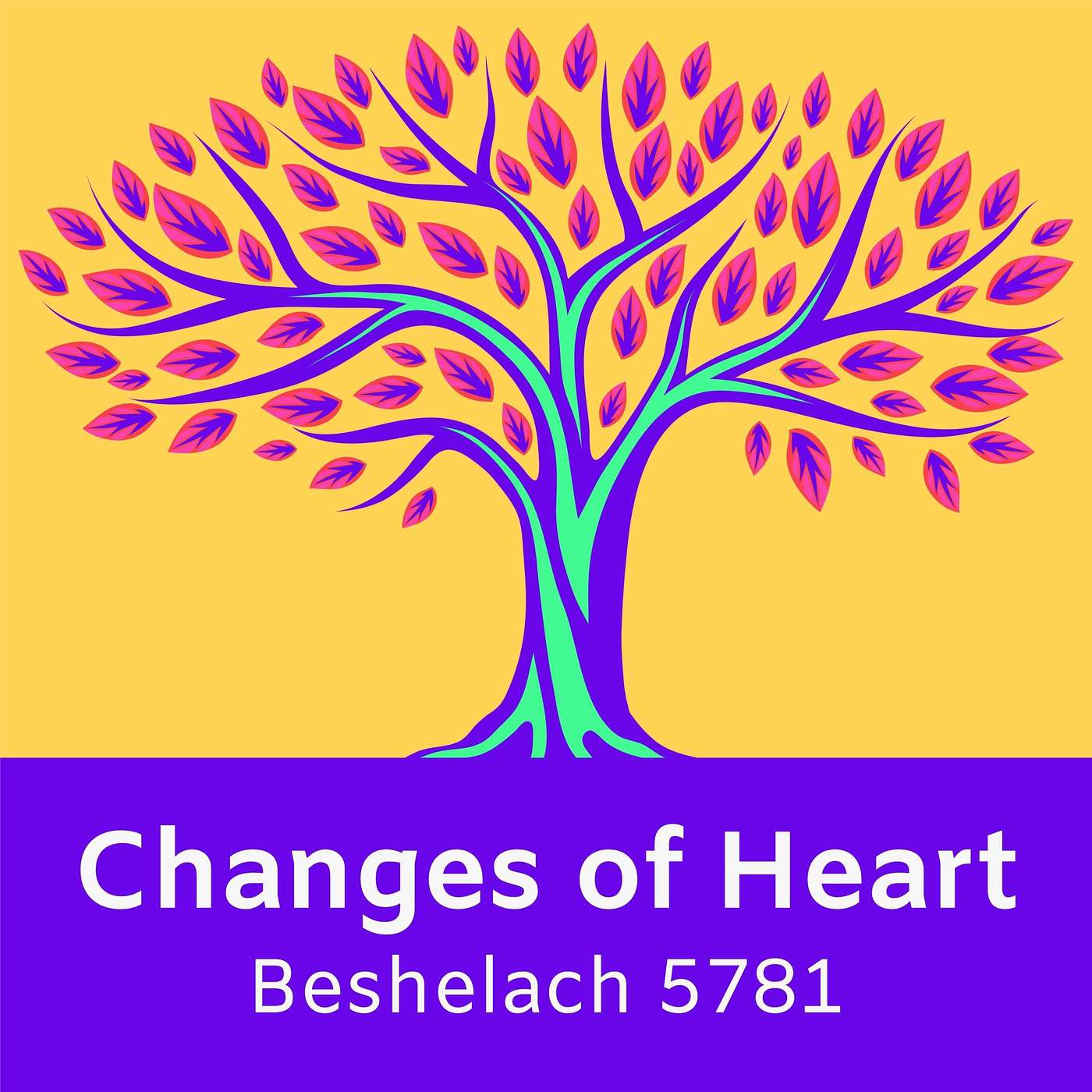 Modern Torah