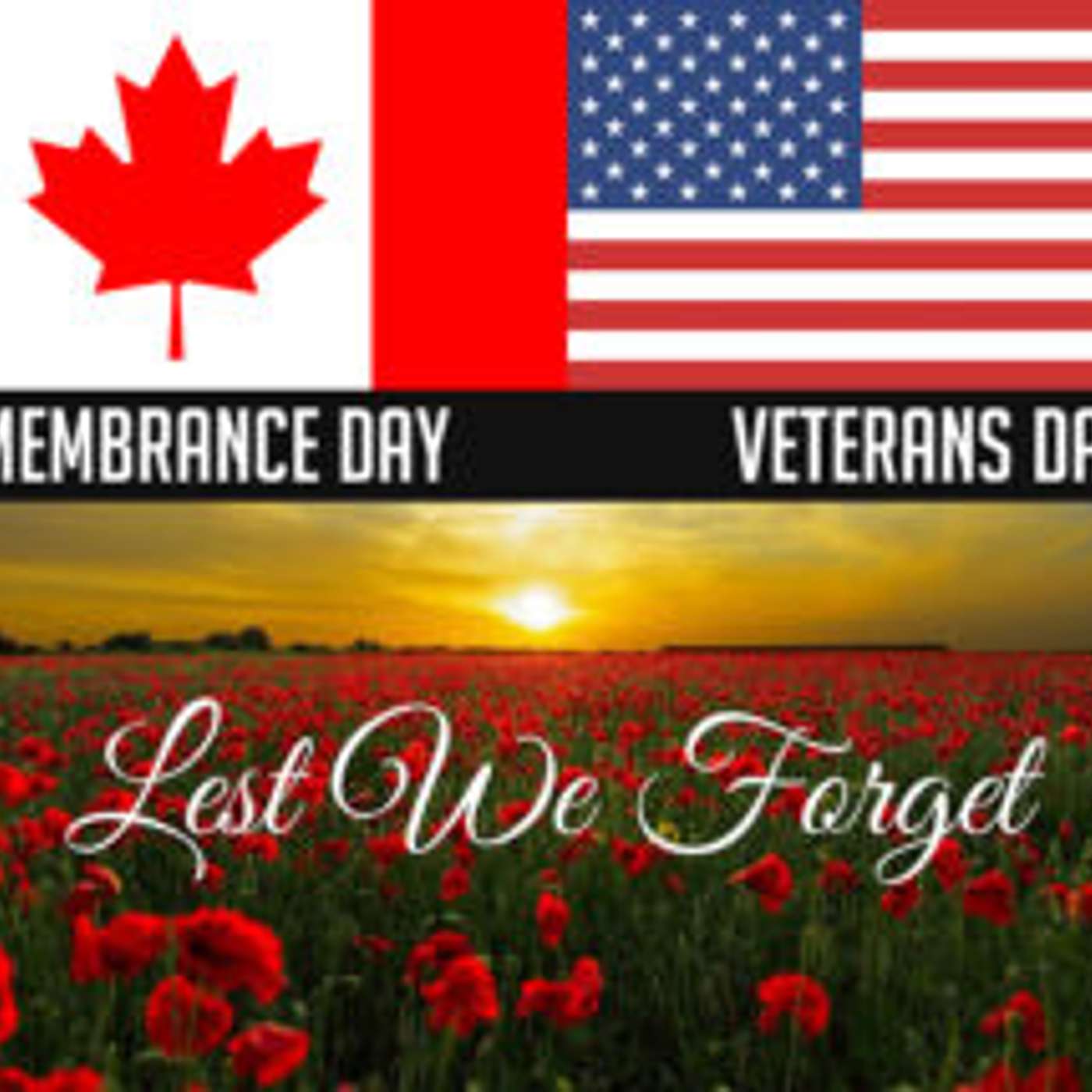 Why Our Veterans Deserve Better Than One Day of Recognition