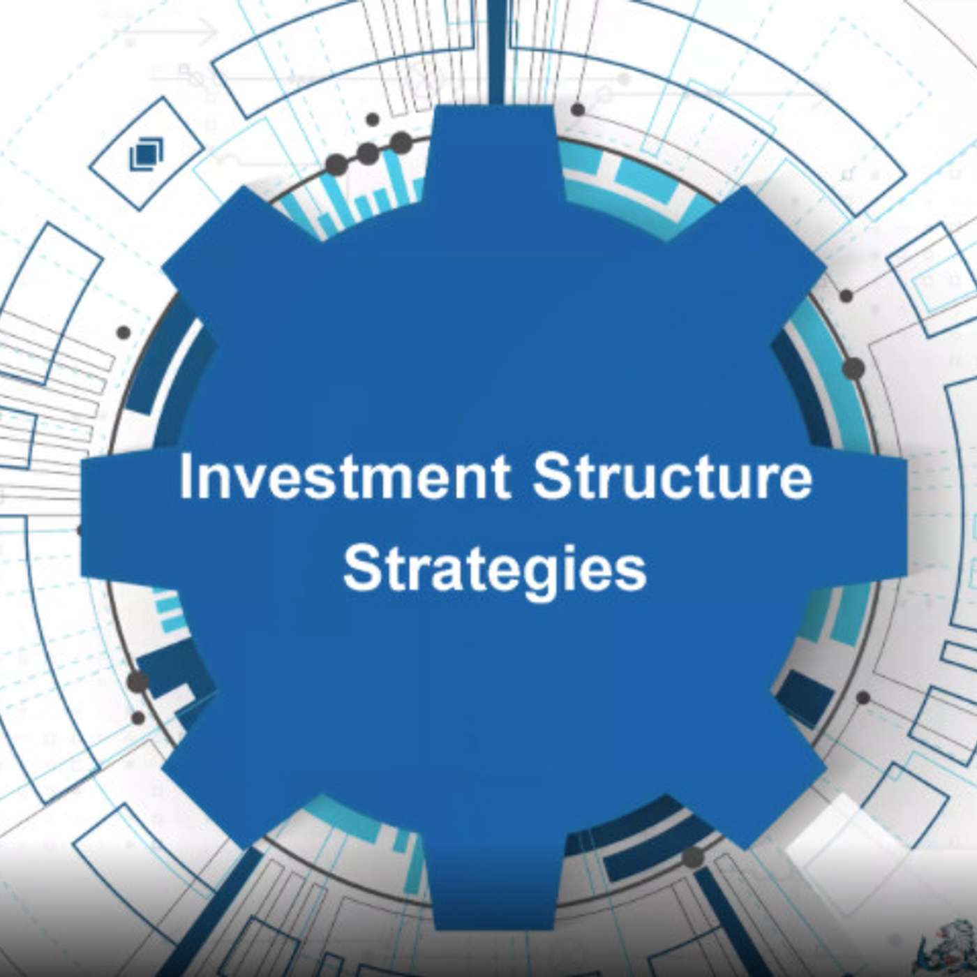 Investment Structure Strategies