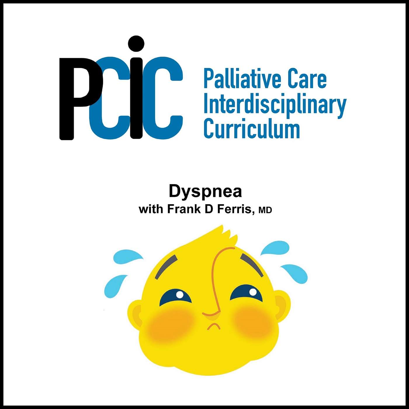 Palliative Care Interdisciplinary  Curriculum
