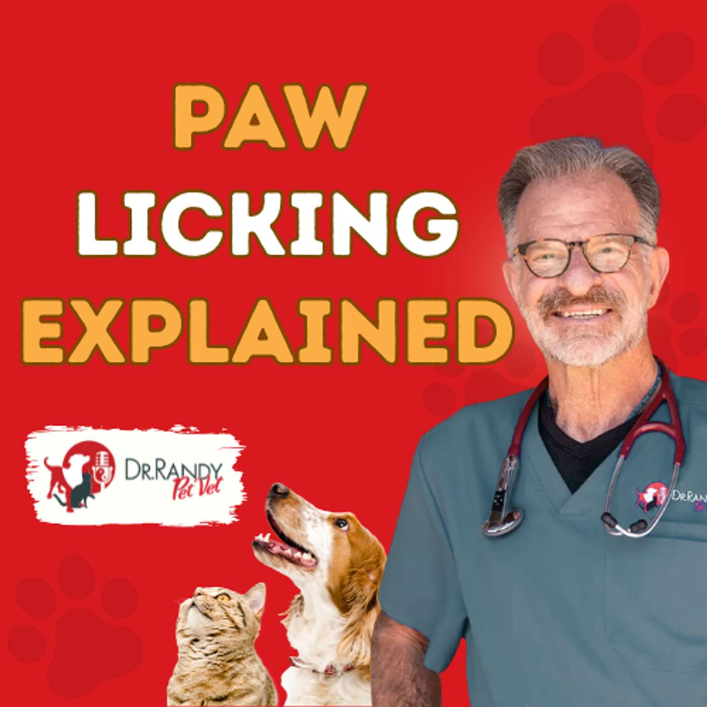 Why Your Dog Won't Stop Licking Their Paws