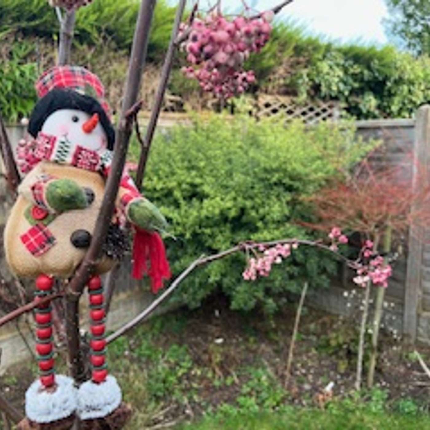 Loving Your Garden - Better Gardening Podcast