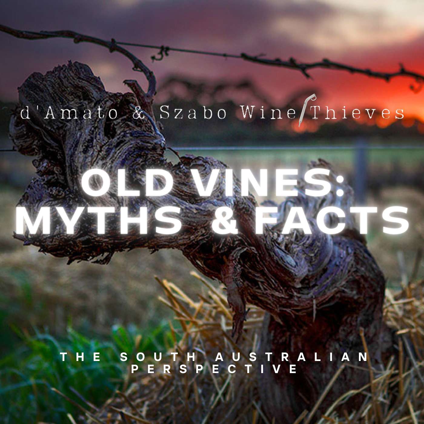 S2E7: Old Vines Myths & Facts: the South Australian Perspective with Prue Henschke and Dr. Dylan Grigg