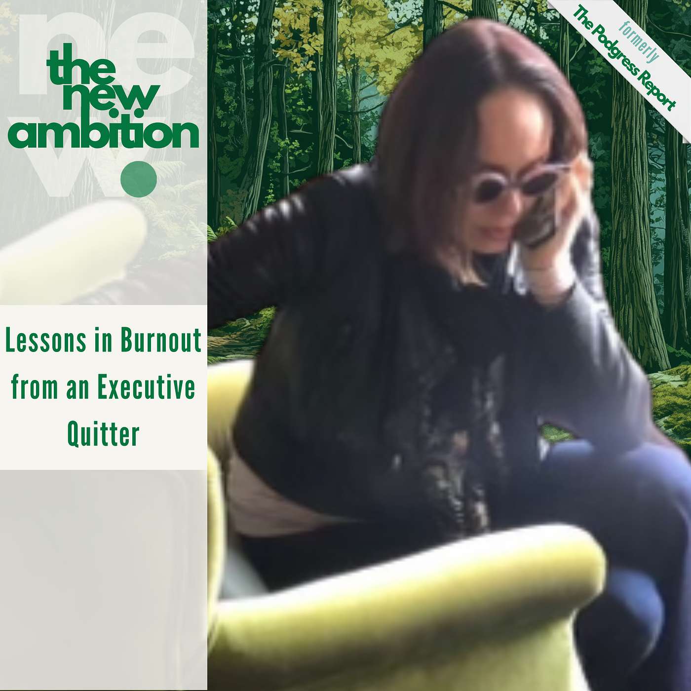 The New Ambition
