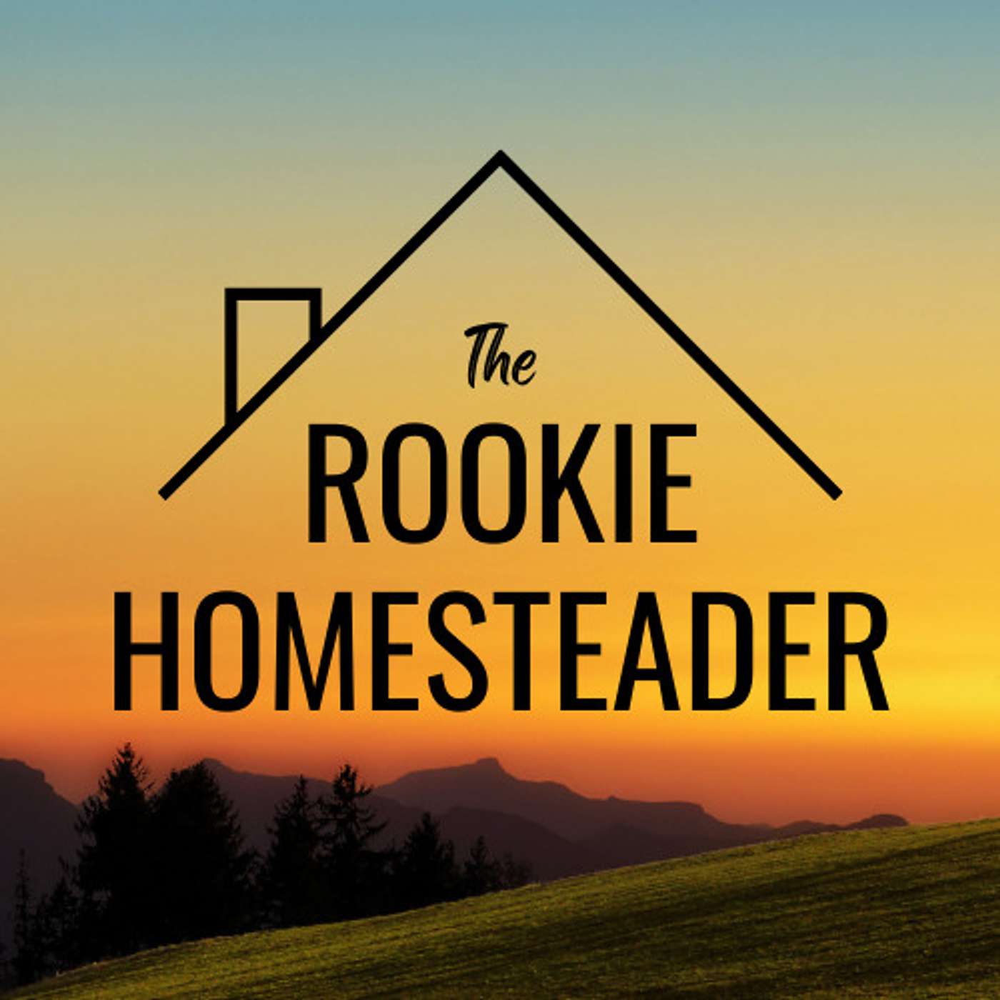 The Rookie Homesteader