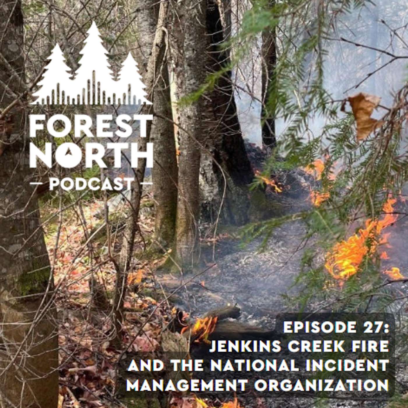 cover of episode Jenkins Creek Fire and the National Incident Management Organization