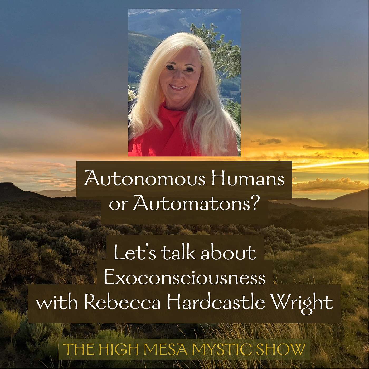 Autonomous Humans or Automatons? Let's talk about Exoconsciousness with Rebecca Hardcastle Wright