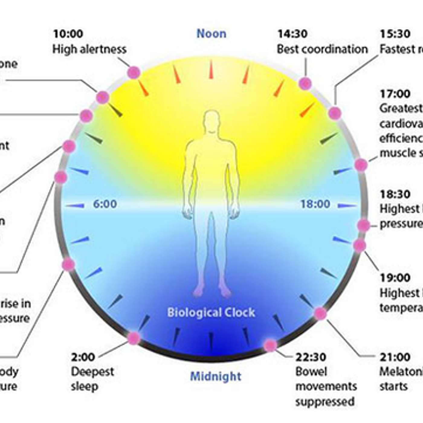 How to Use Spotlights to Visually Expand Small Spaces