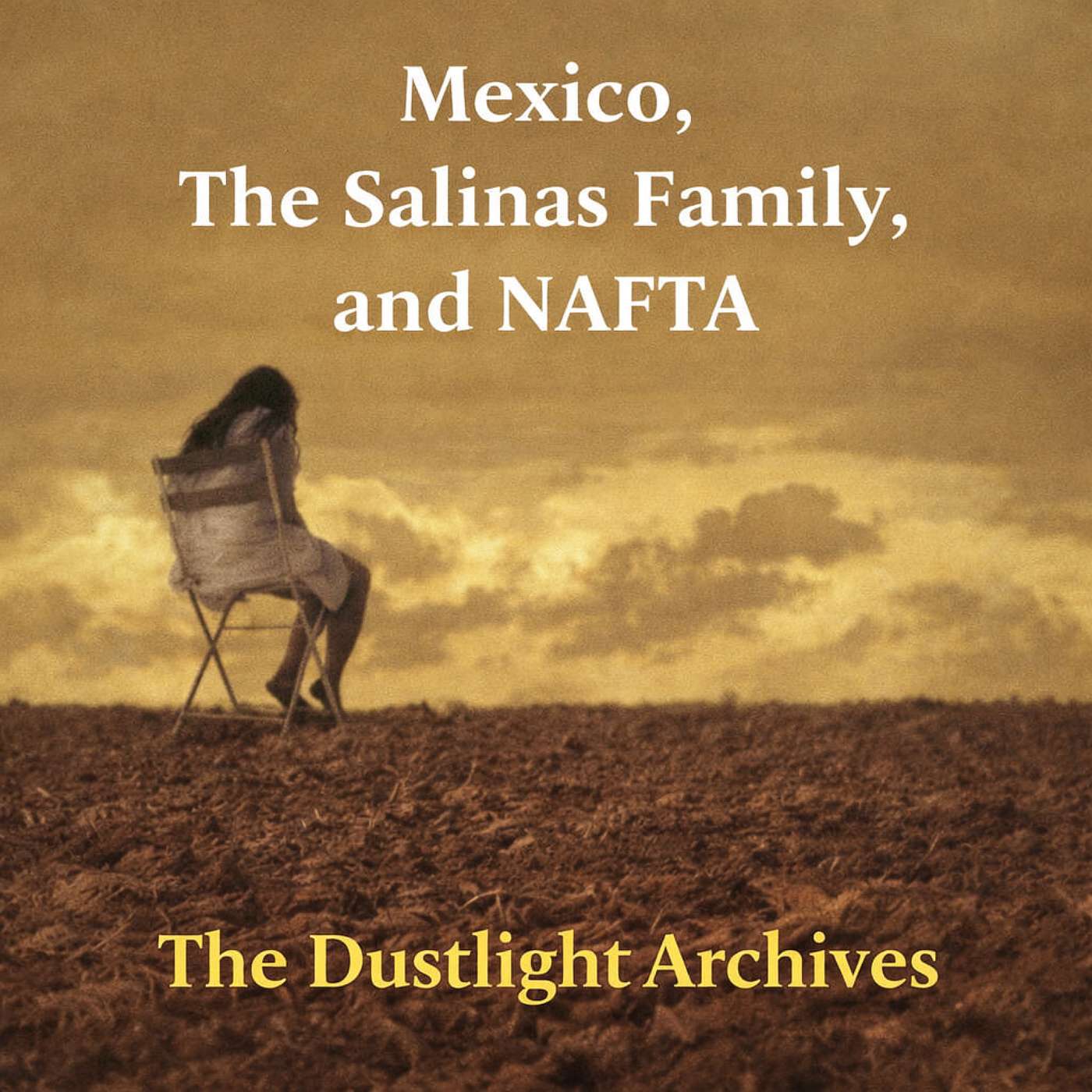 NXIVM: Prologue: Mexico, The Salinas Family, and NAFTA