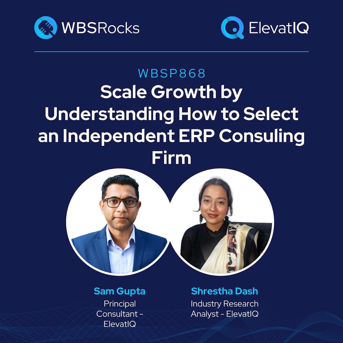WBSP868: Scale Growth by Understanding How to Select an Independent ERP Consulting Firm, an Objective Panel Review episode artwork