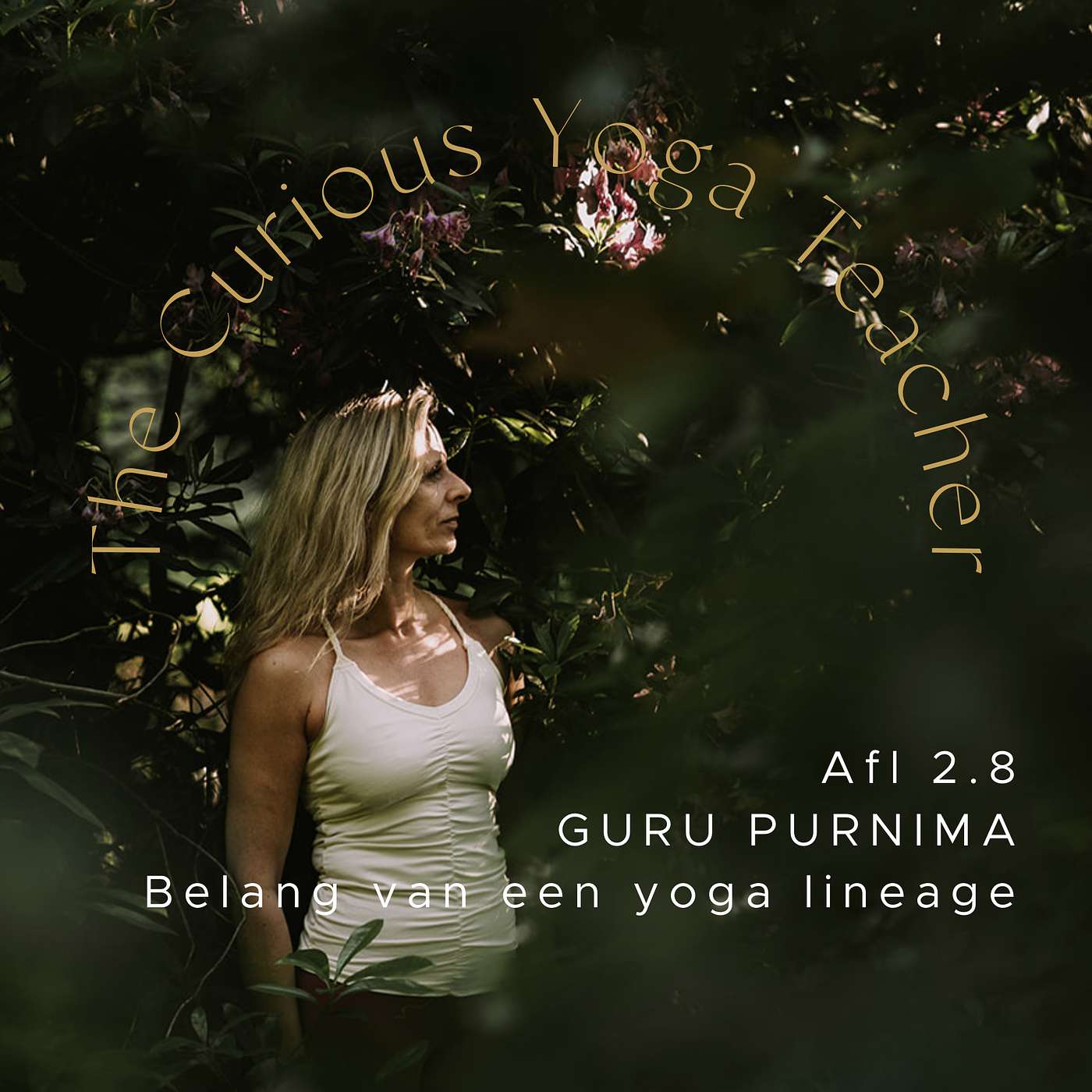 The Curious Yoga Teacher