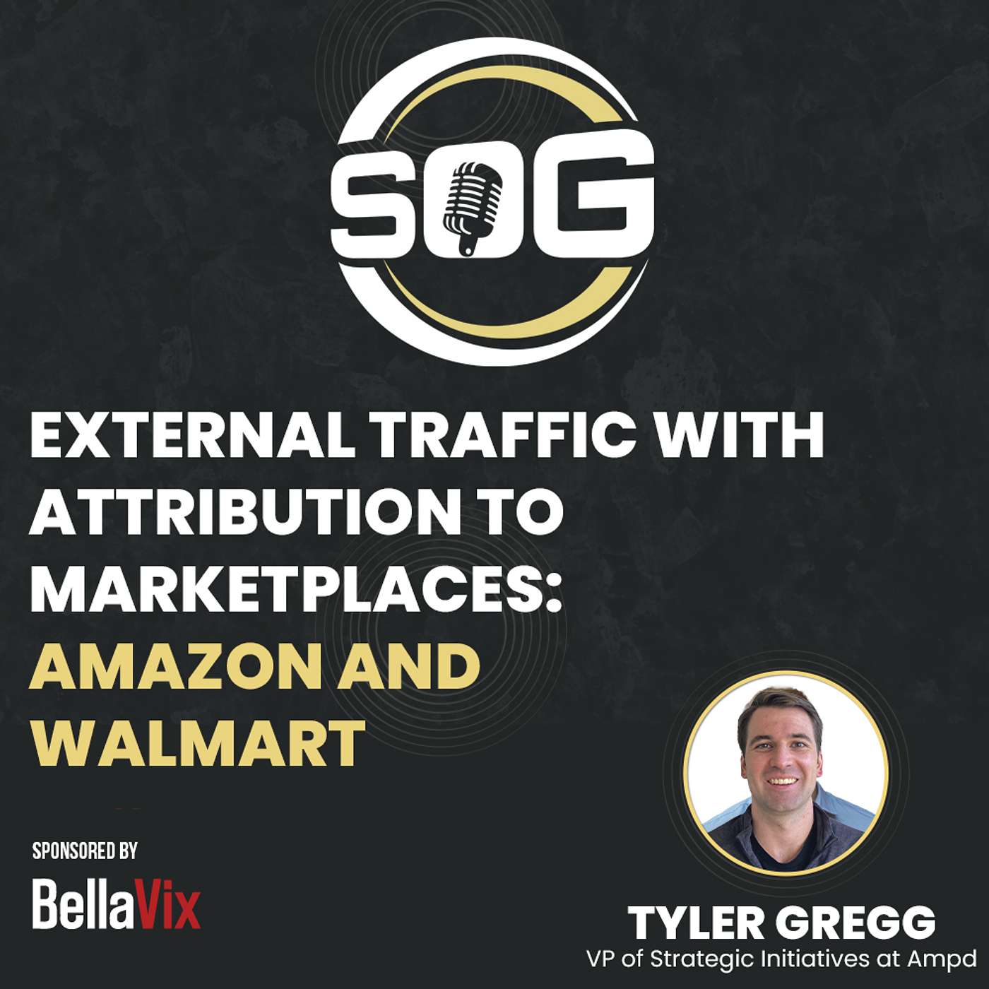 Advanced Google Ad Tech for Amazon and Walmart Sellers with Tyler Gregg