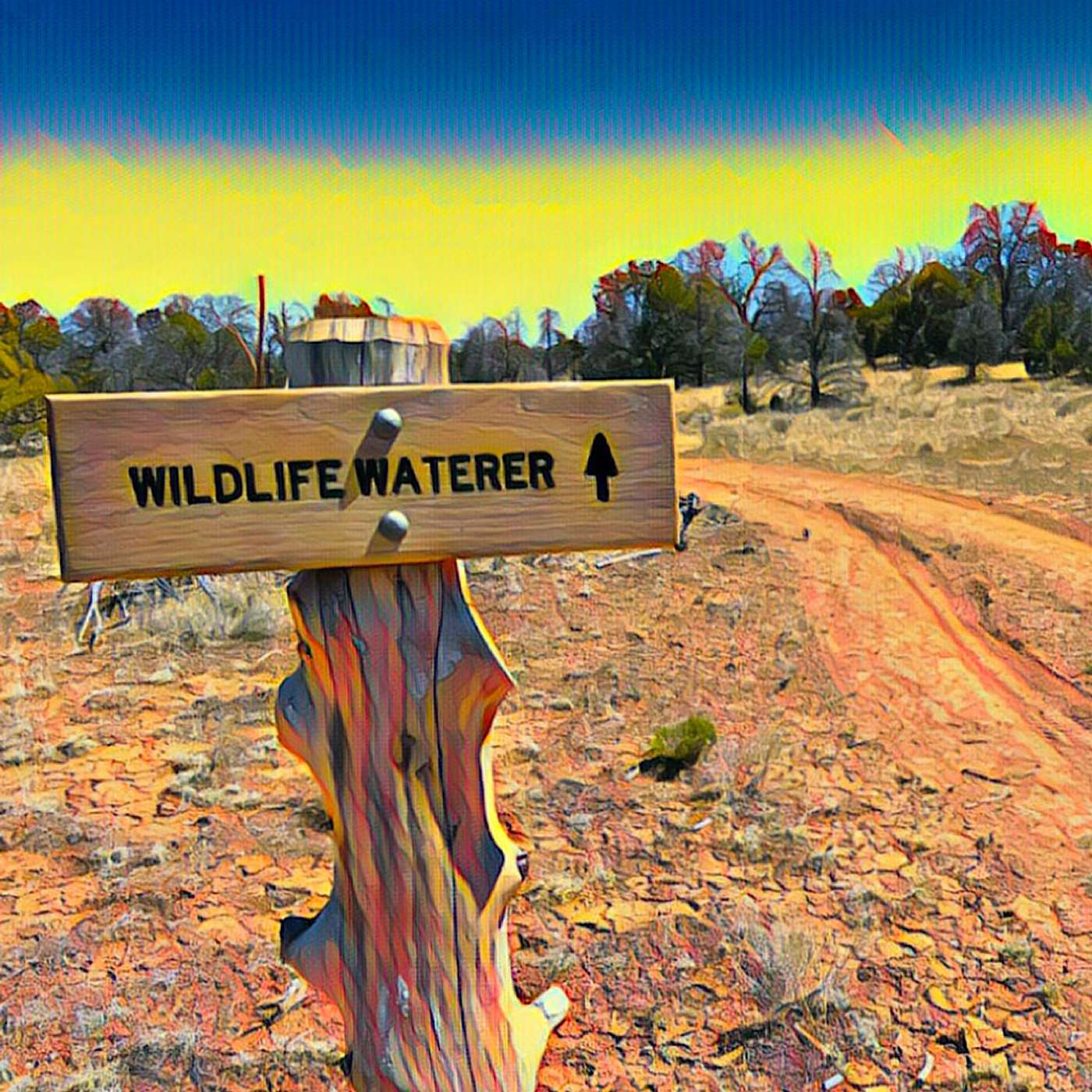 Arizona Trail: back on trail