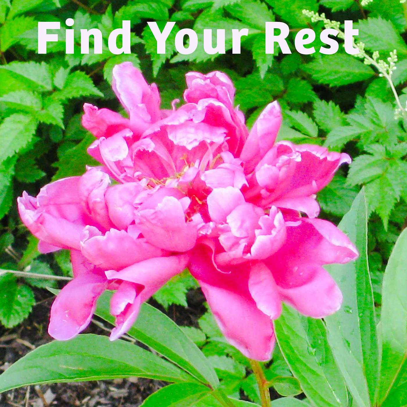 The Gift of True Contentment