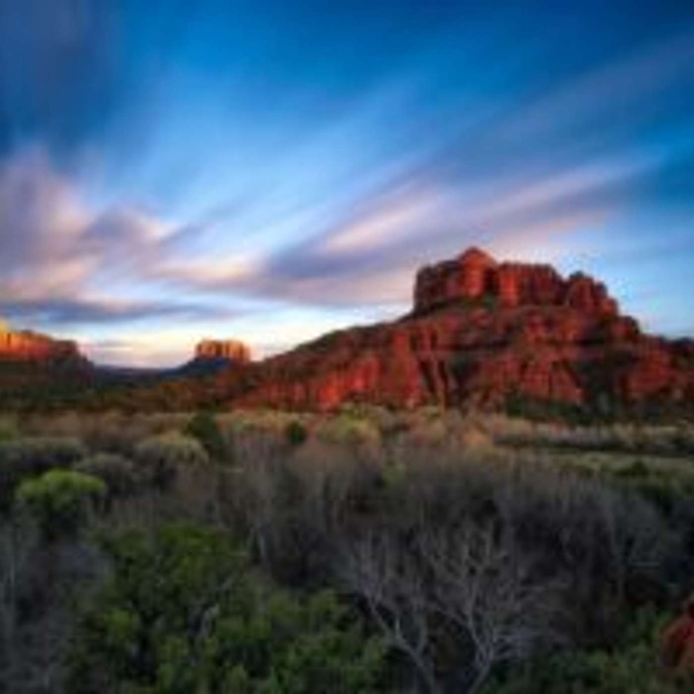 Sedona Hosts Live Art Demo at City Hall