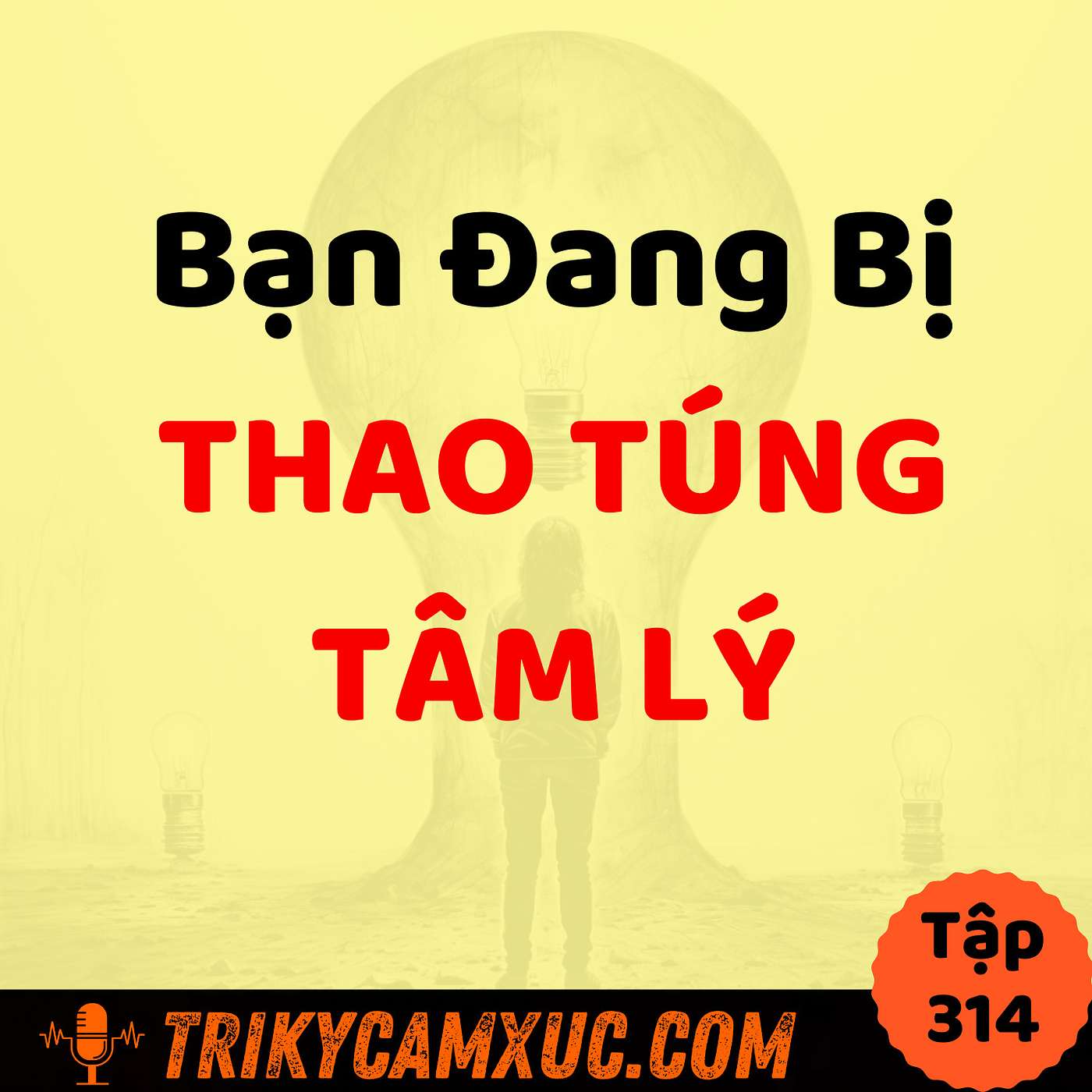 Bạn Đang Bị Thao Túng Tâm Lý Trên Mạng -Tri Kỷ Cảm Xúc #314