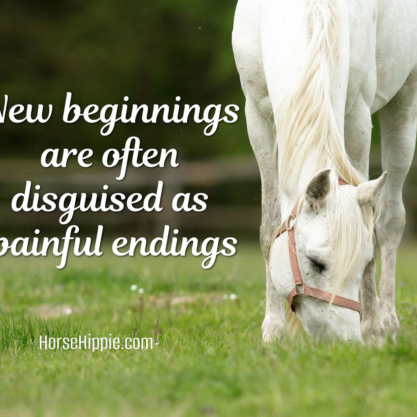 Painful Endings