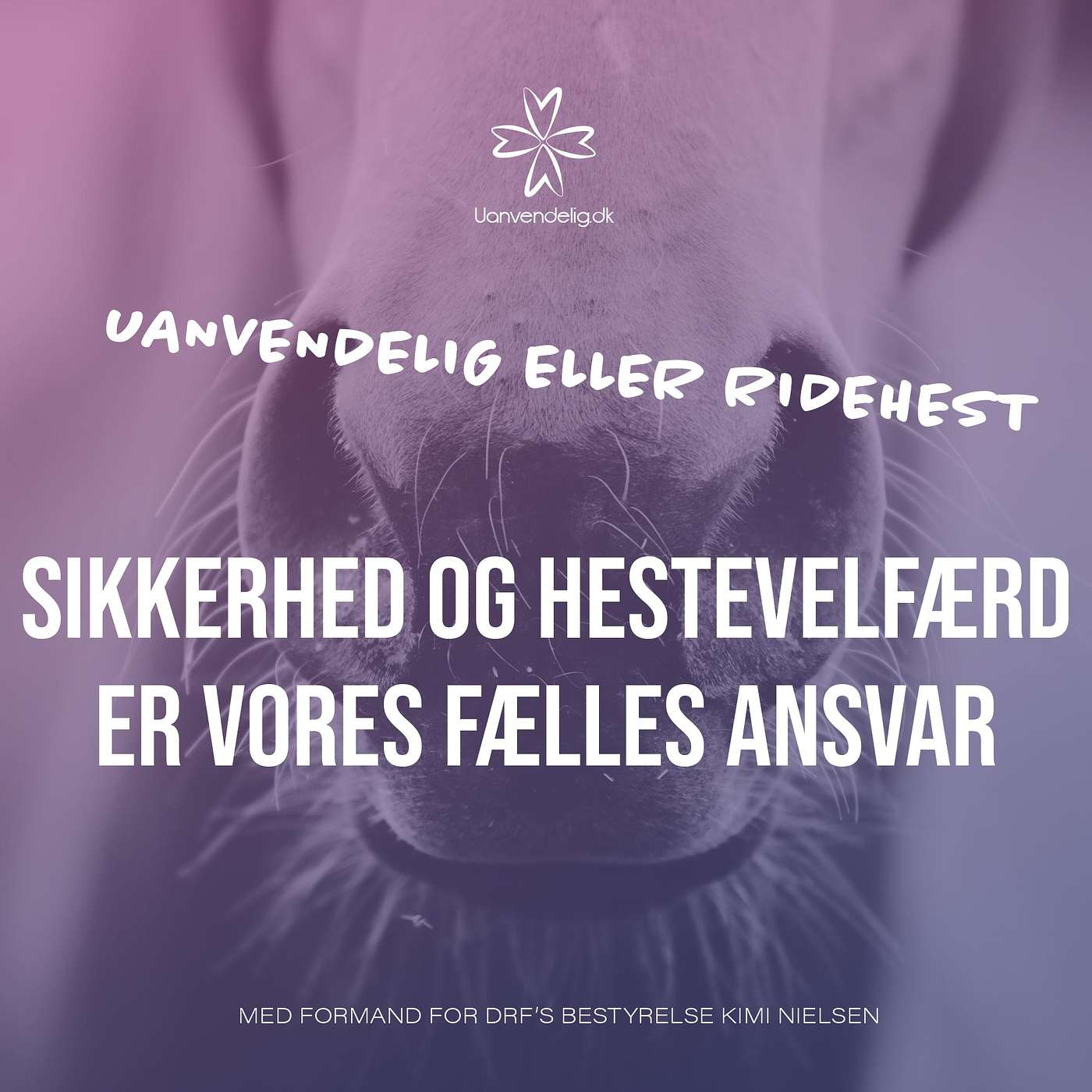 Kimi Nielsen: Hestevelfærd og sikkerhed er vores fælles ansvar