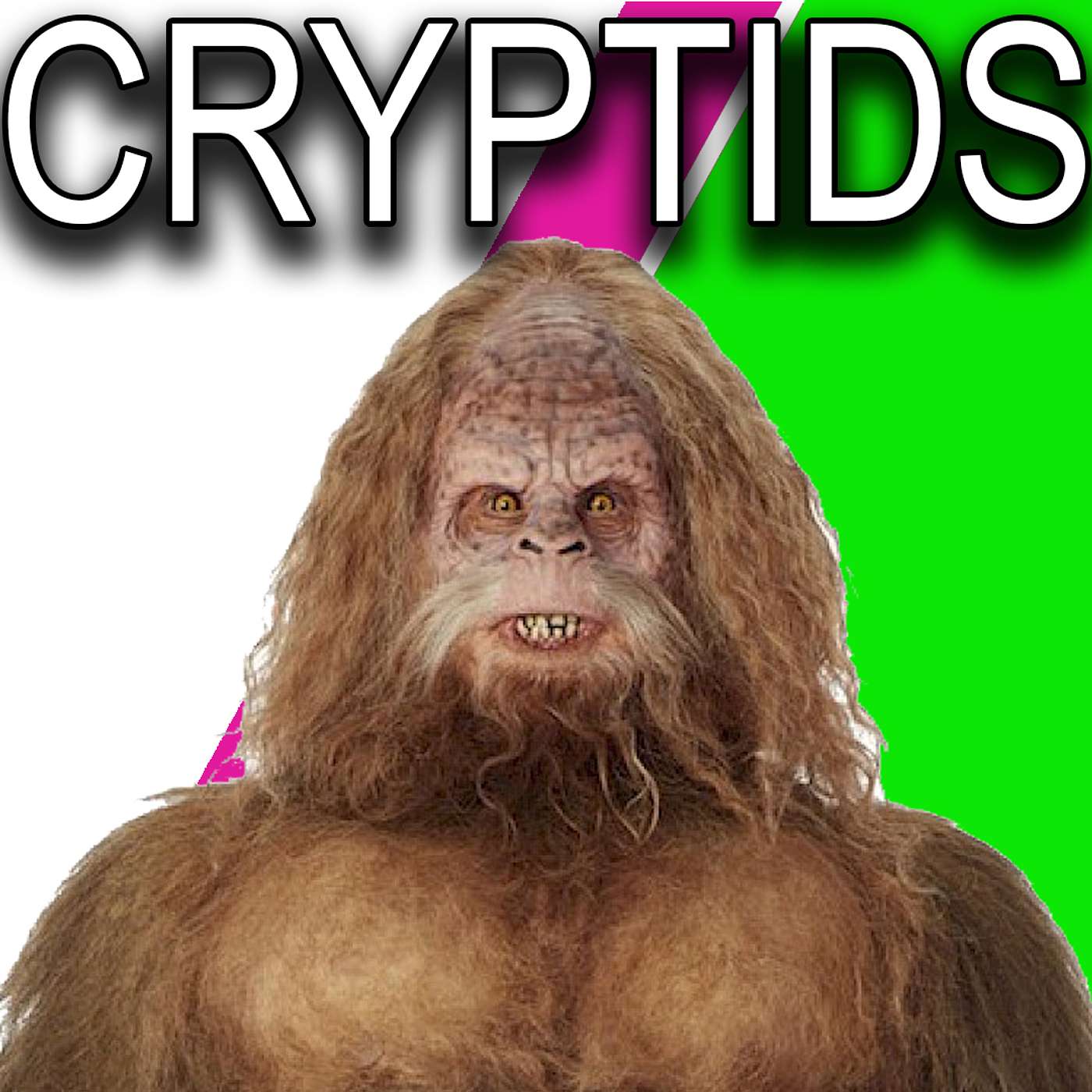Episode 38: Cryptids