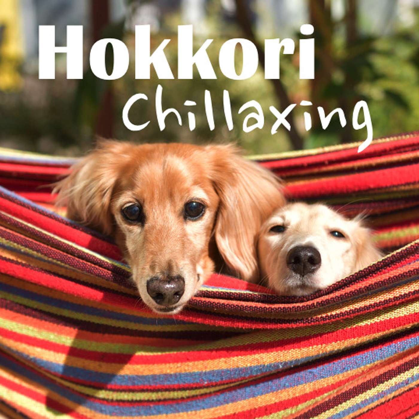 Hokkori - Chillaxing