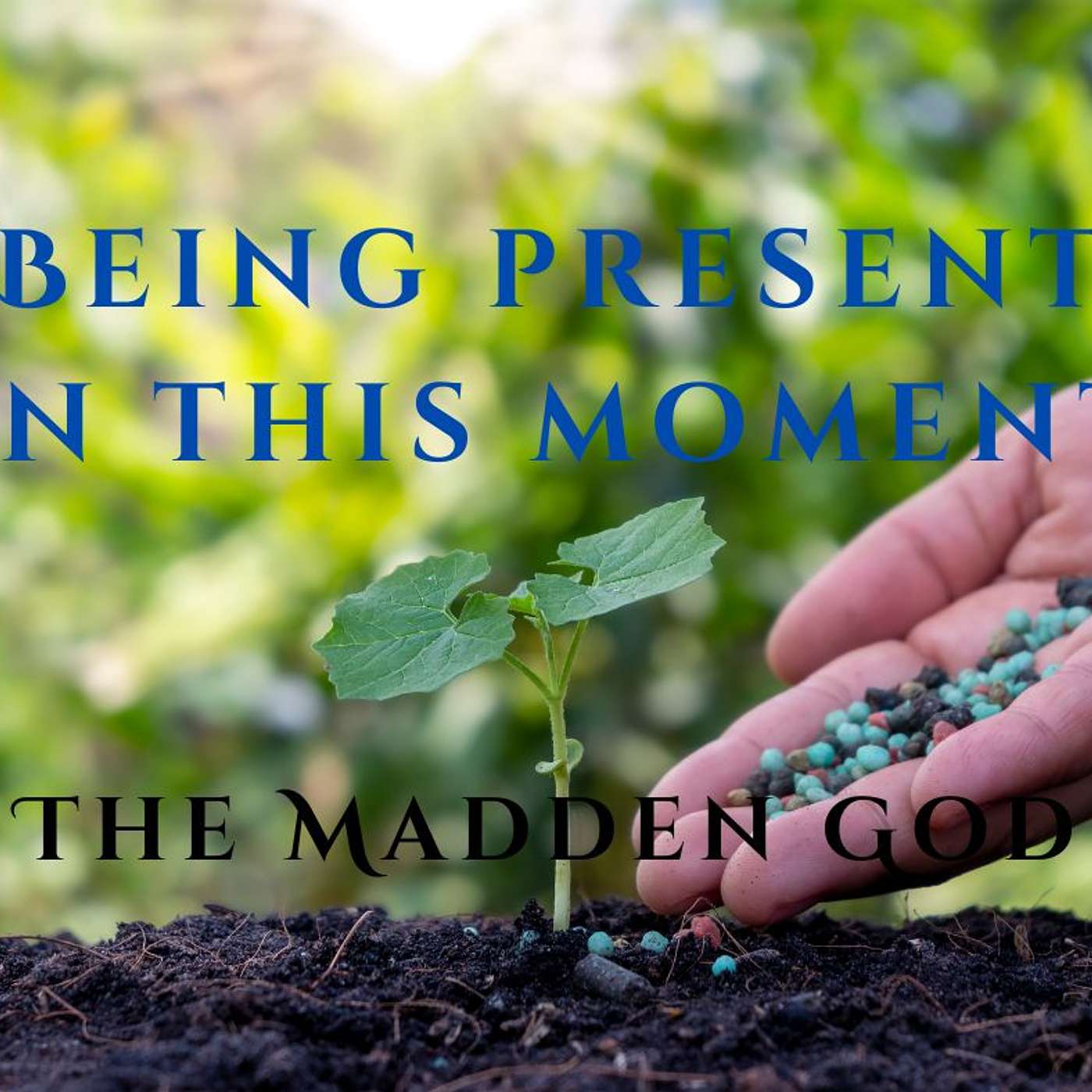 Being present in this moment