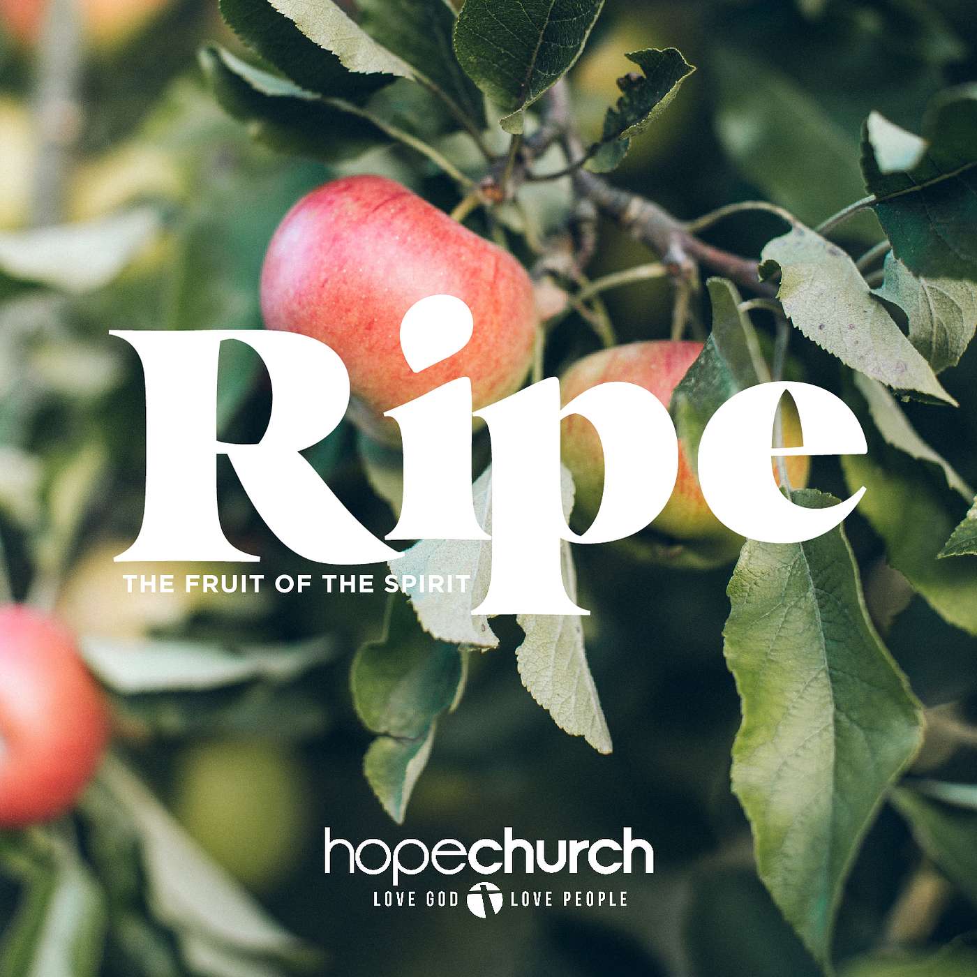 Ripe (Faithfulness)