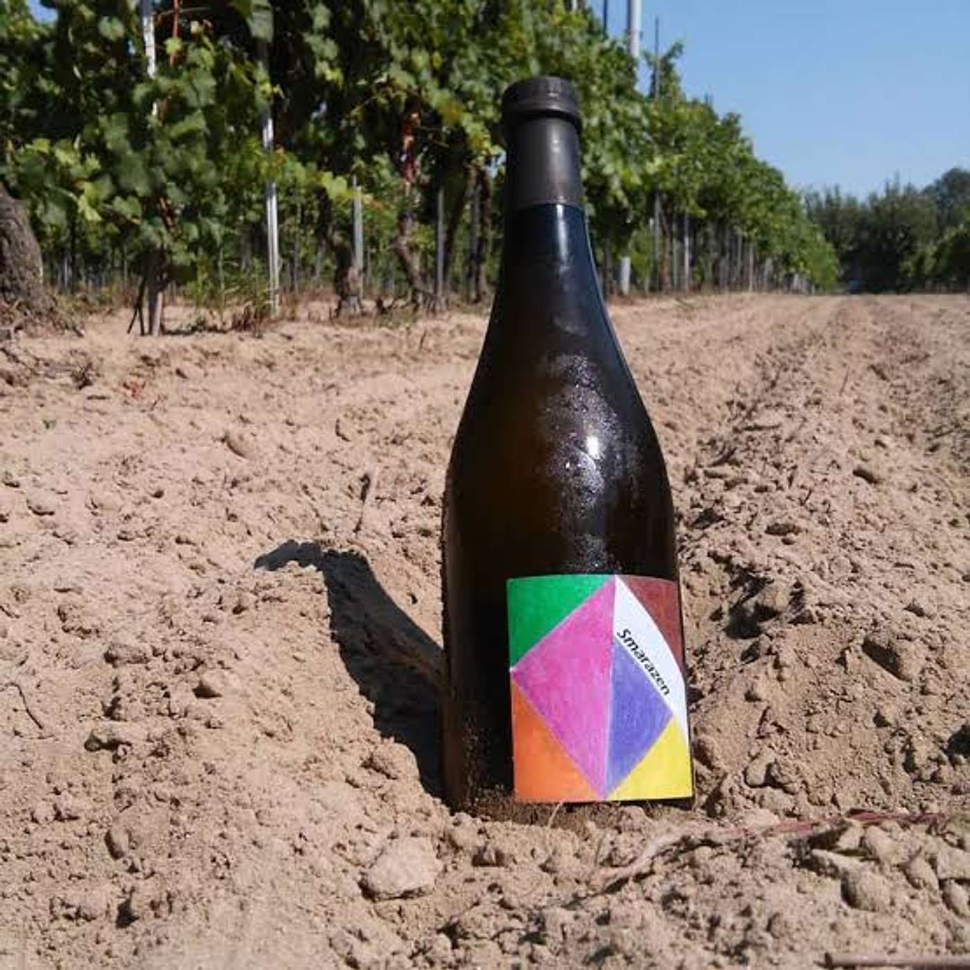AMBIRE I vini delle sabbie ferraresi intervista a Mirco Mariotti episode artwork