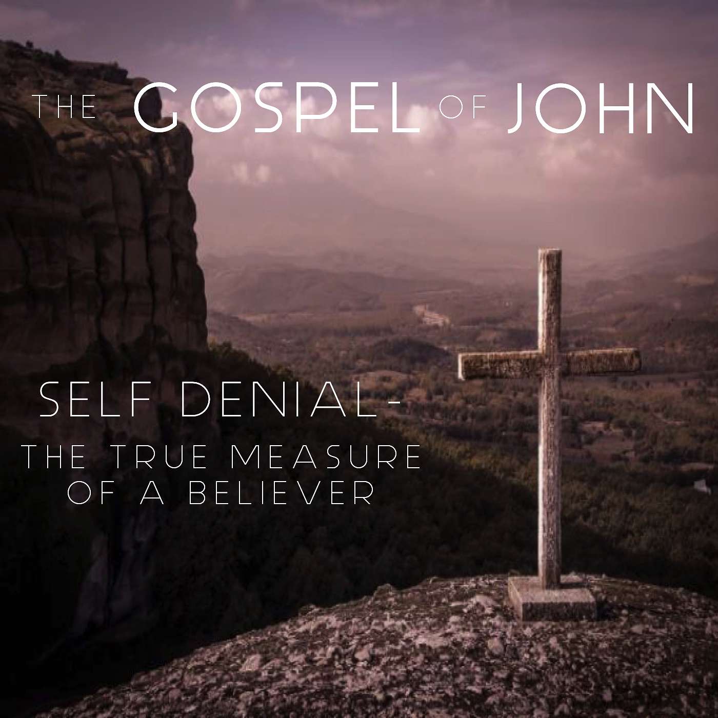 The Gospel Of John - Self Denial - The True Measure Of A Believer. episode artwork