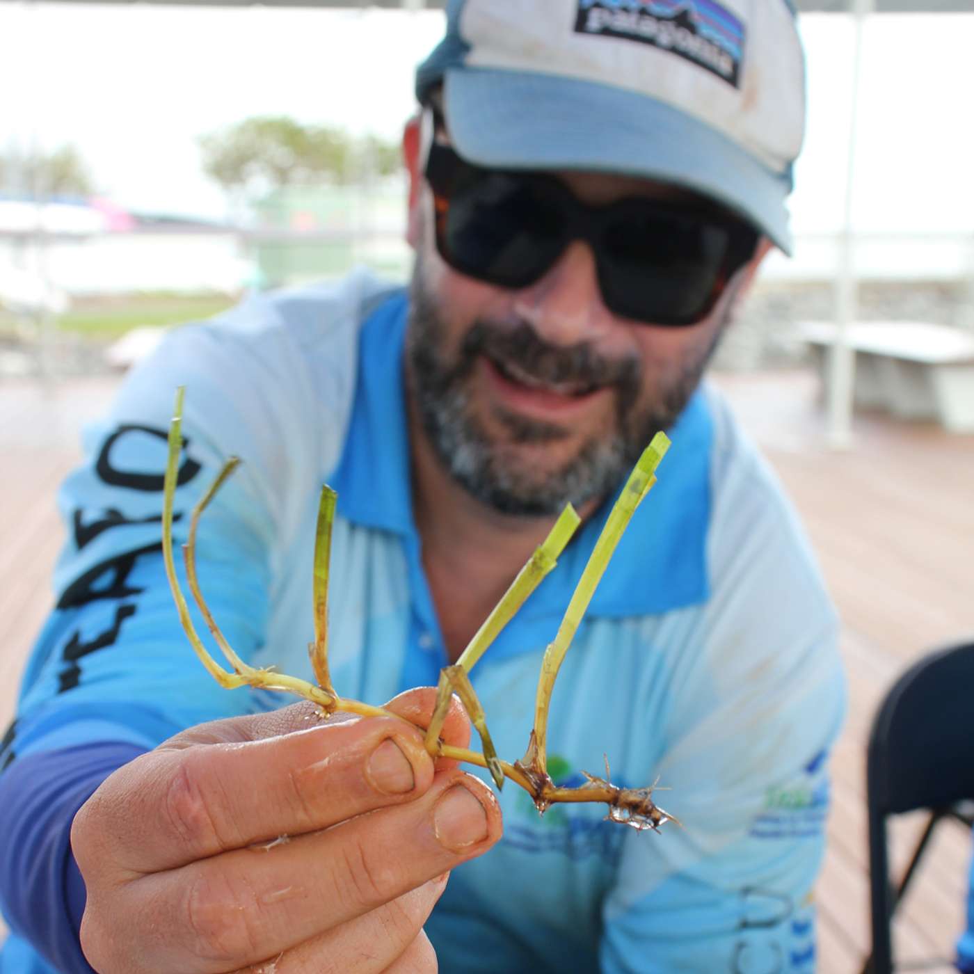 S2 E26: Restoring Seagrass on the Great Barrier Reef with Dr Tim Smith