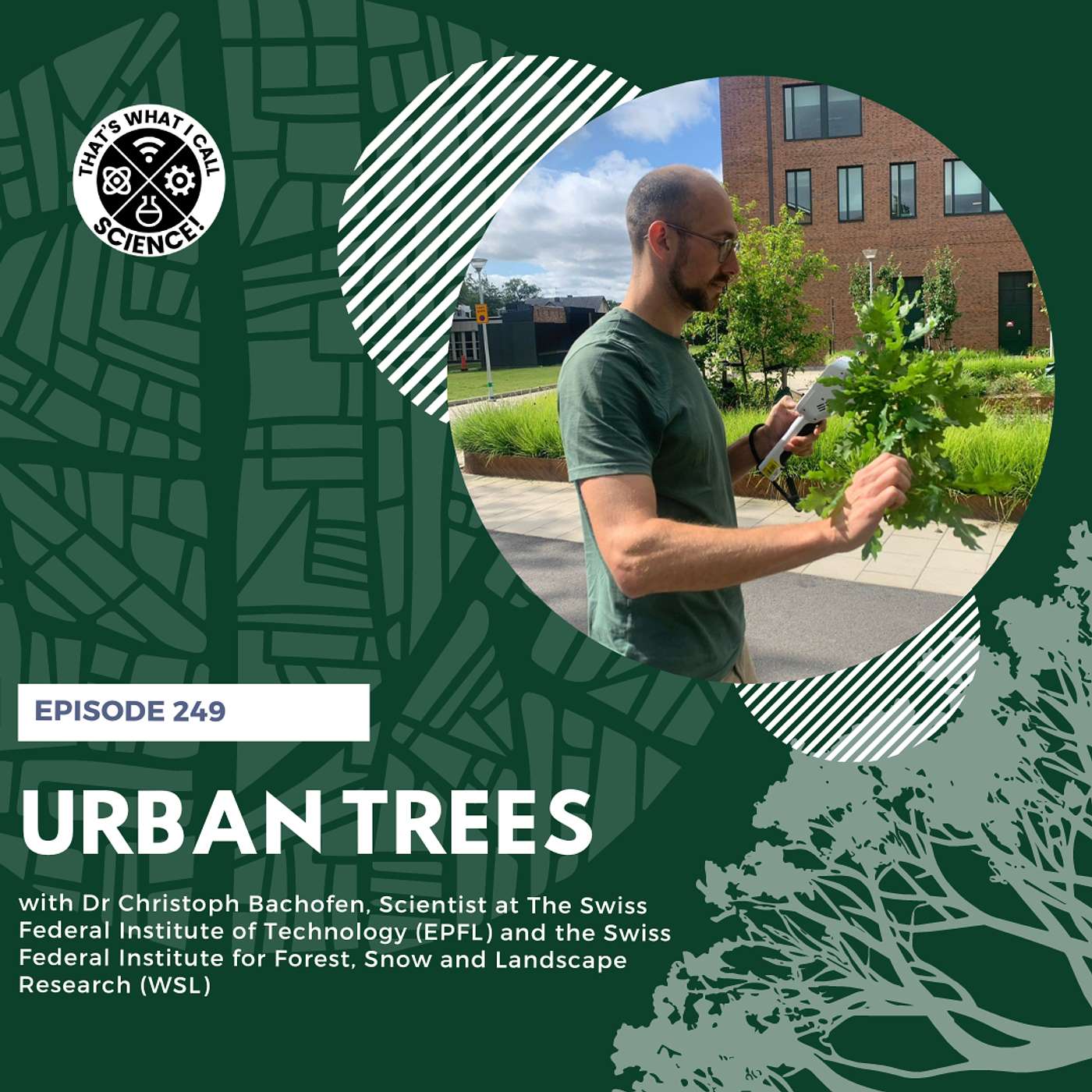 Episode 249: Urban Trees