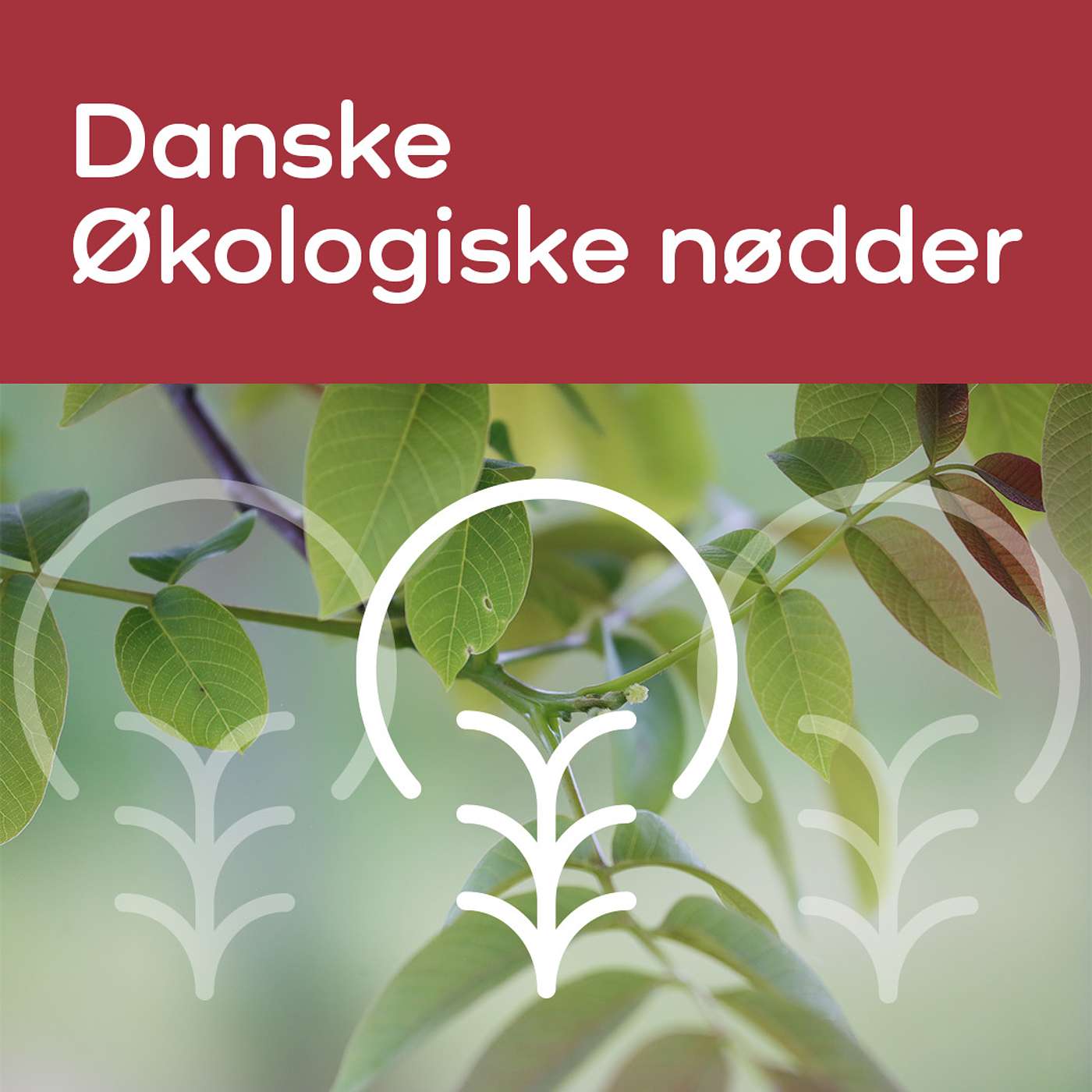 ØKO-LYD