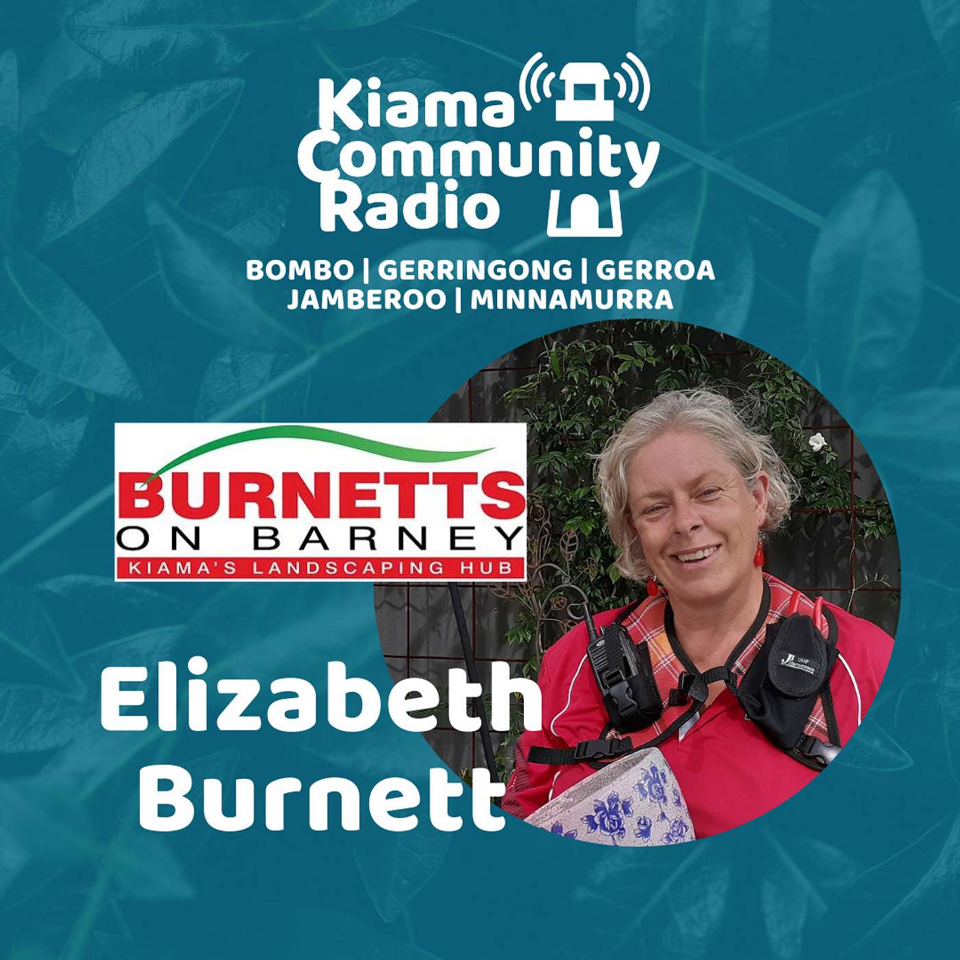 The Shop Around the Corner: Burnetts on Barney episode artwork