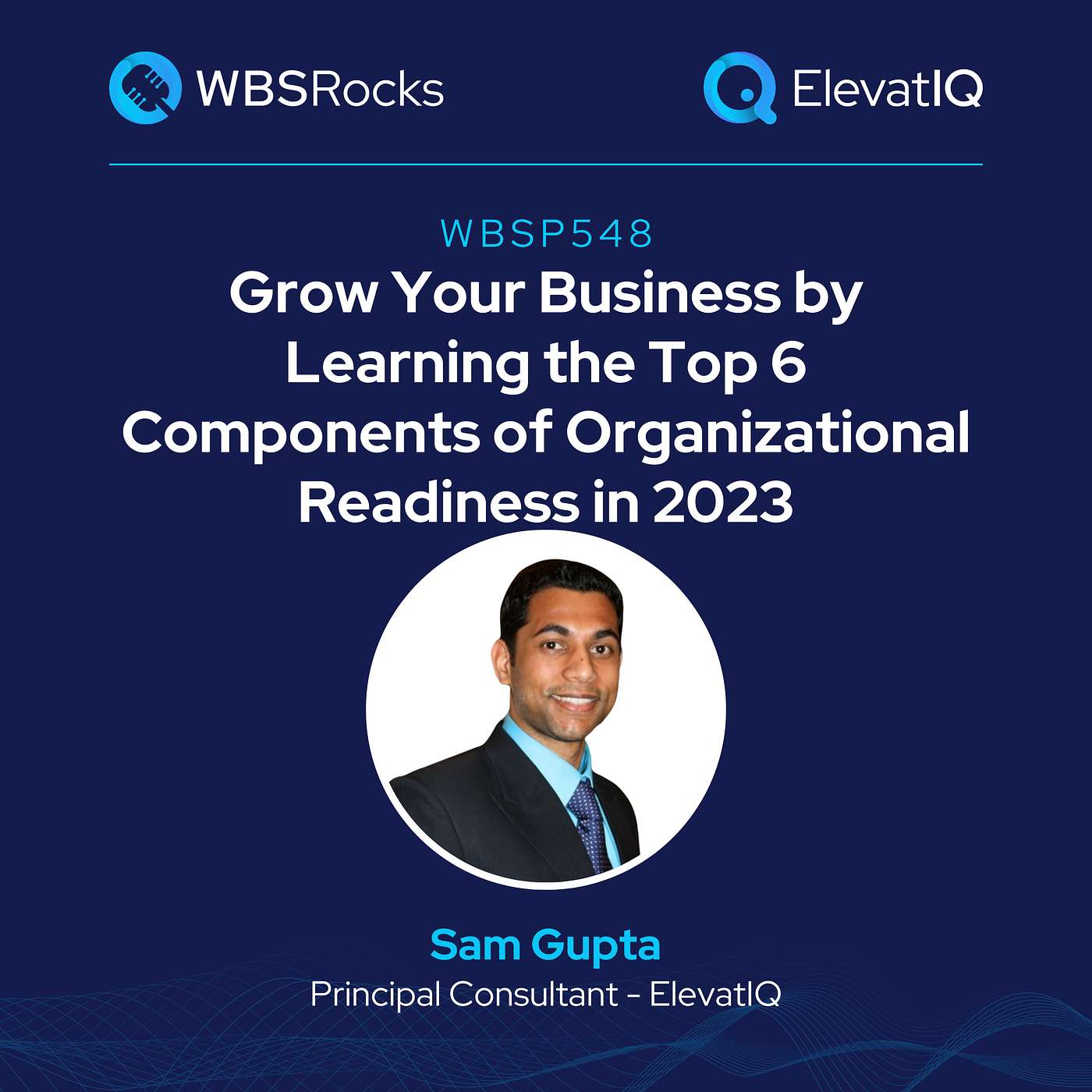 WBSRocks: Business Growth with Enterprise Software and Digital Transformation