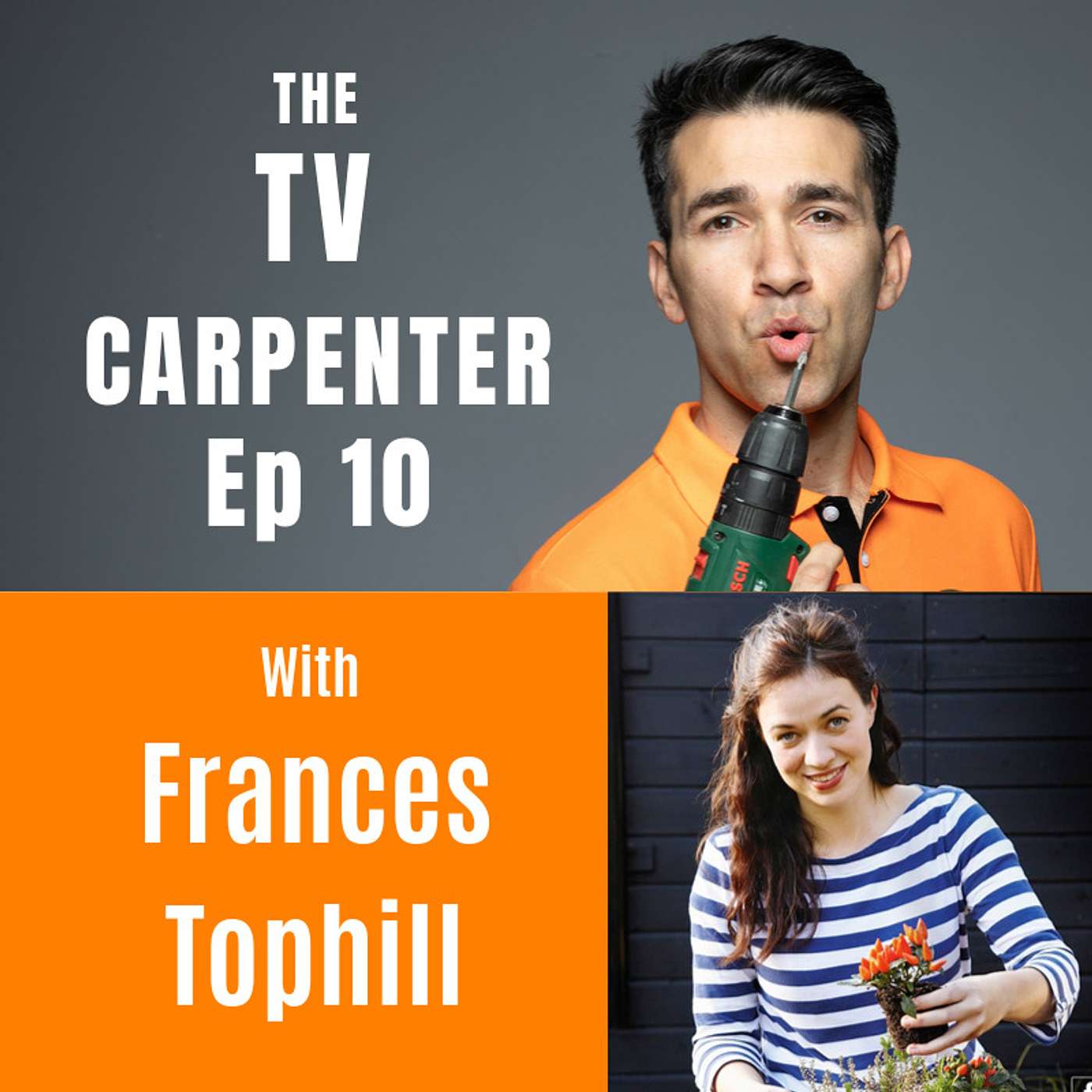 THE TV CARPENTER : Home Makeovers with Wayne Perrey