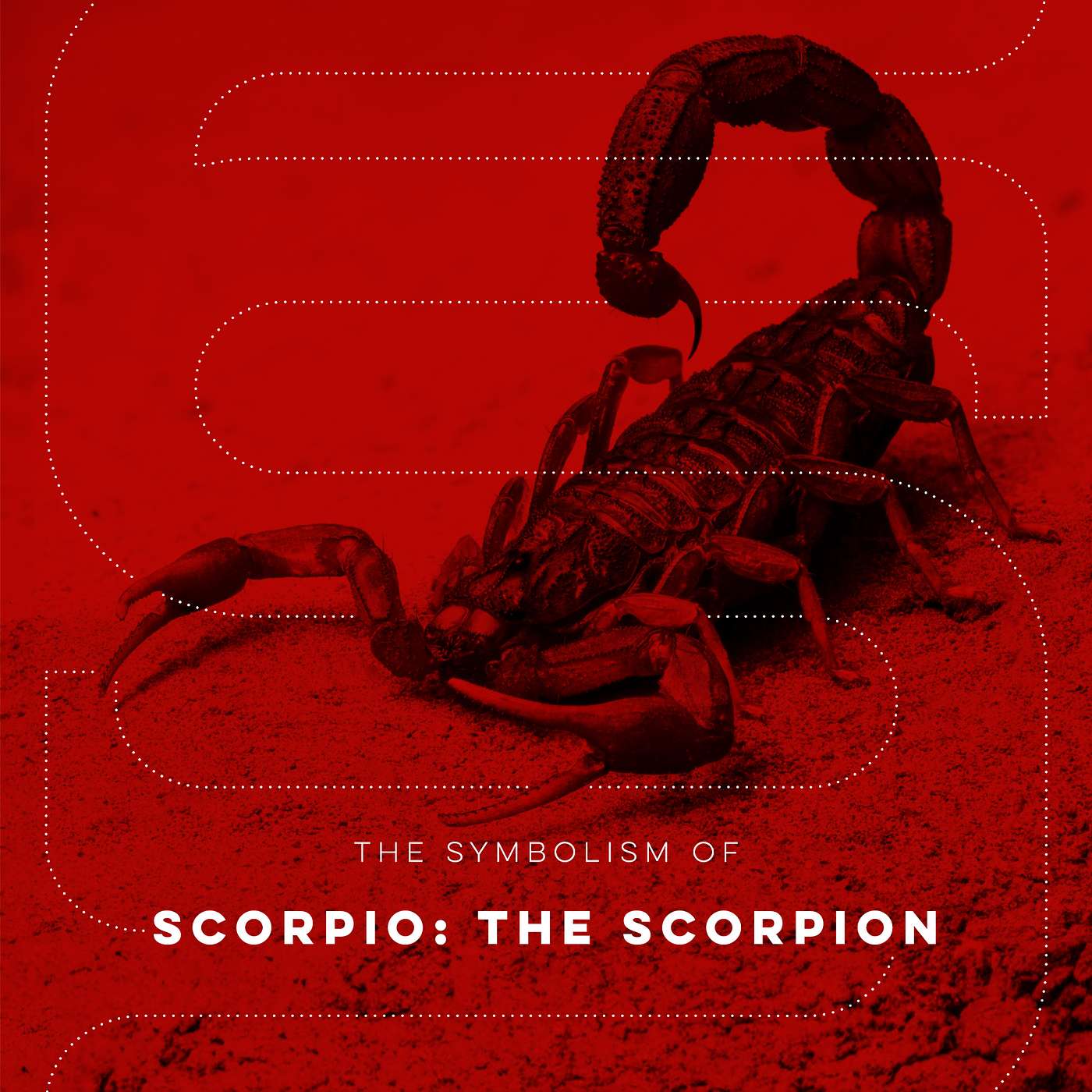 The Symbolism of Scorpio: The Scorpion – SS Ep. 10