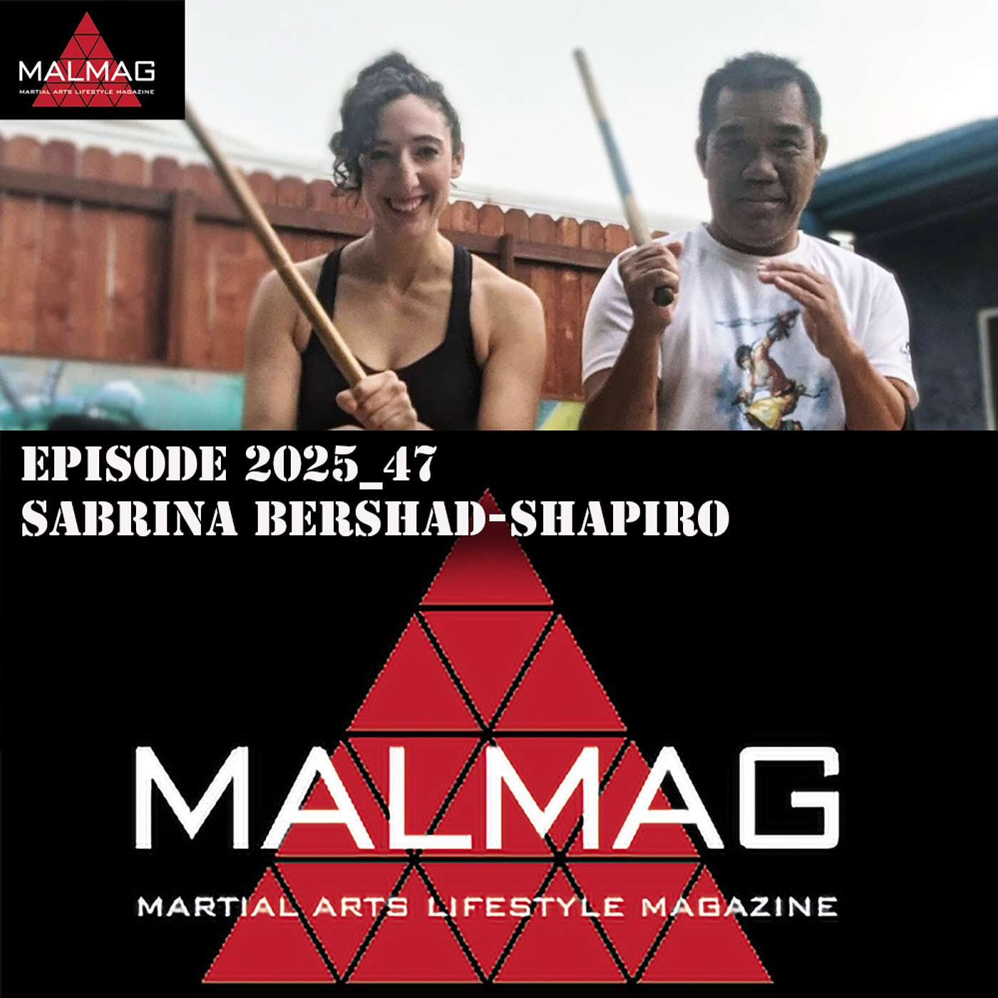 The Martial Arts Lifestyle Podcast
