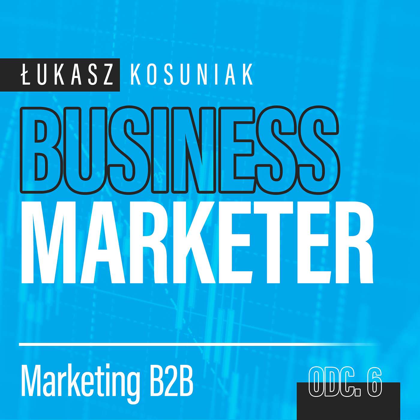 Business Marketer - marketing B2B od teorii do praktyki