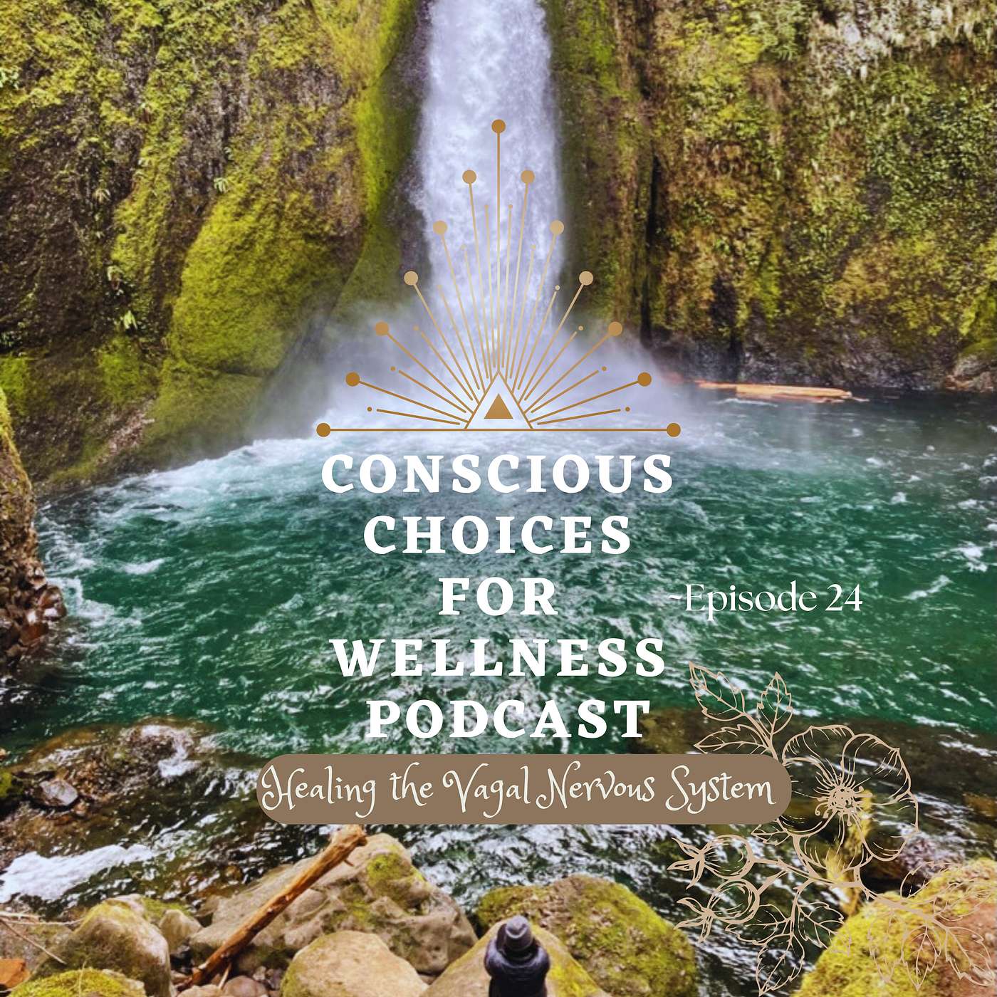Stress Infliction Transformation: Natural Healing~Vagus Nervous System episode artwork