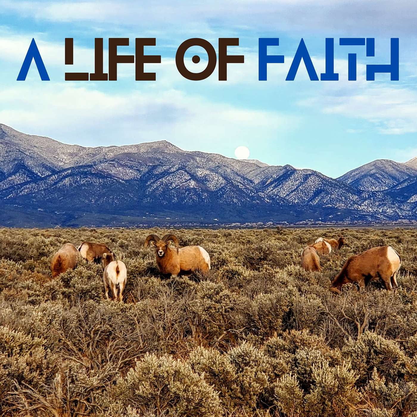 A Life of Faith episode artwork