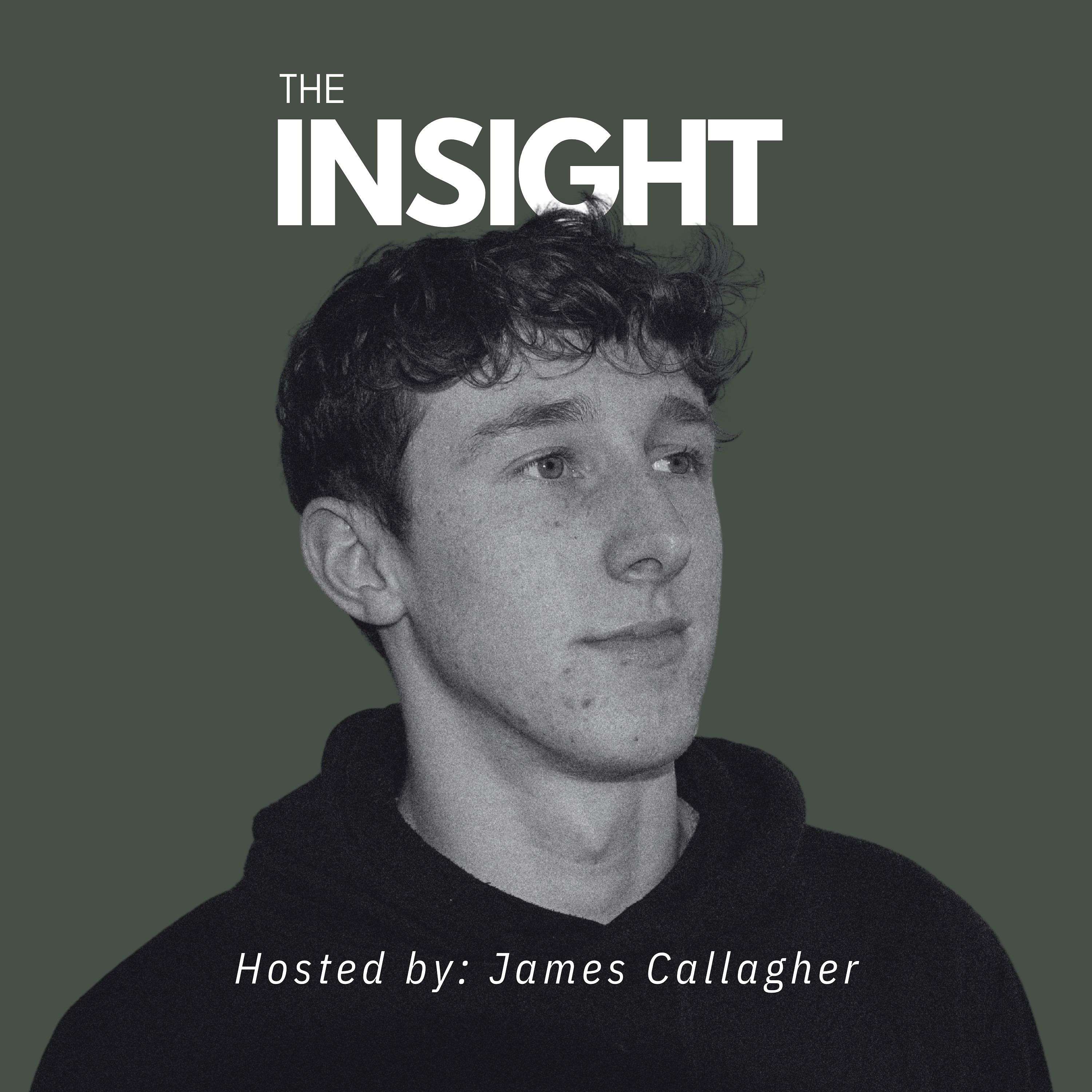 The Insight