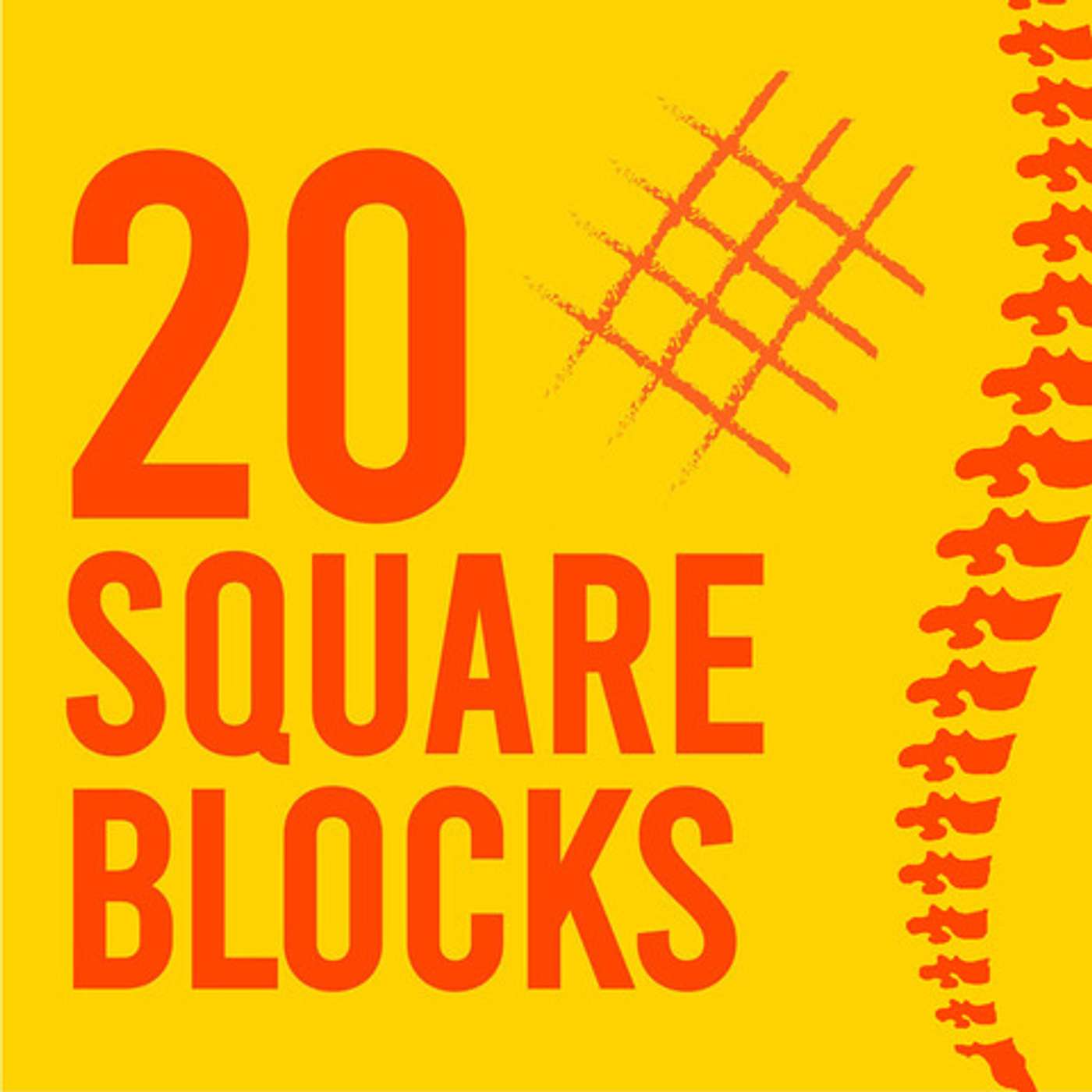 20 Square Blocks