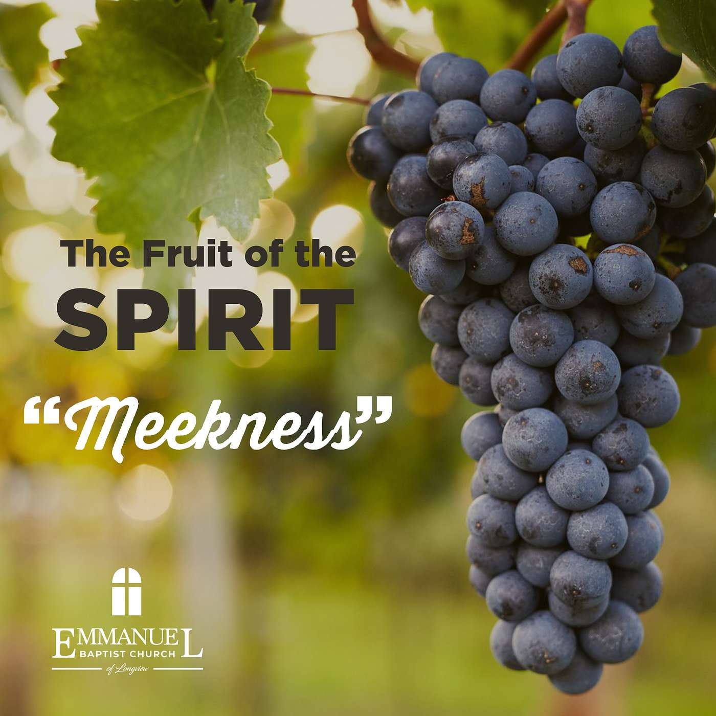 The Fruit of the Spirit - Meekness - Wednesday Bible Study 03/30/2022 - Pastor Bob Gray II episode artwork